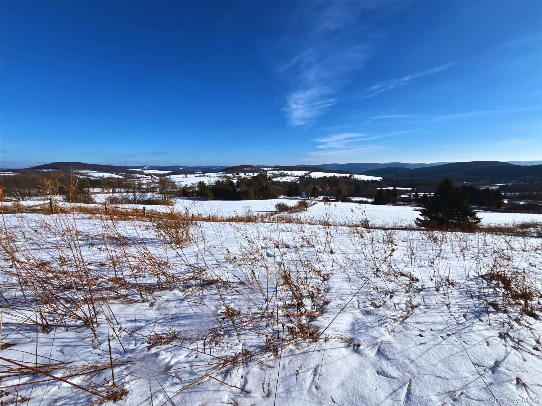 #15 photo, Lot 41-42 Hamden Hill Road, Hamden , NY 13782