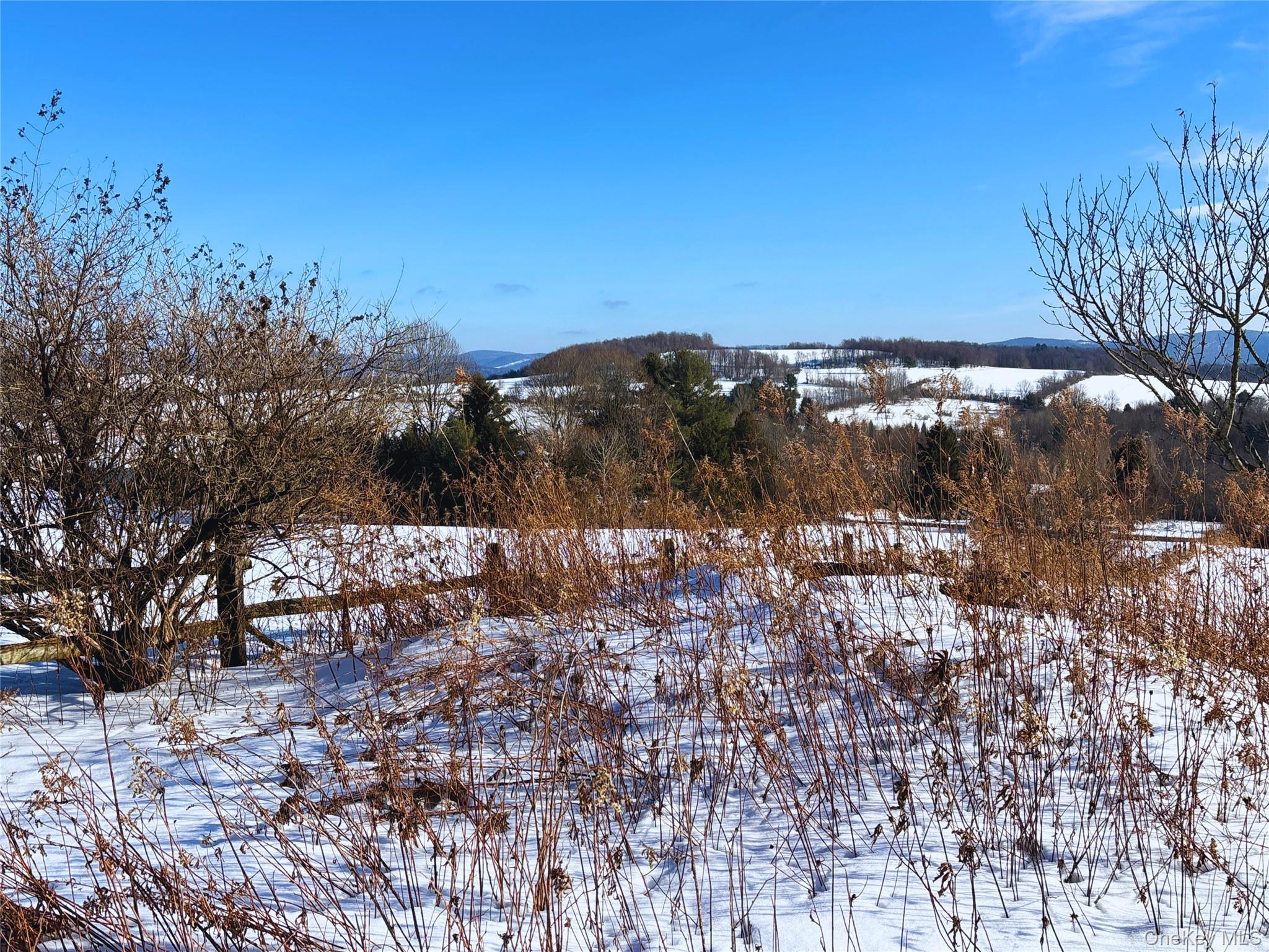 #16 photo, Lot 41-42 Hamden Hill Road, Hamden , NY 13782