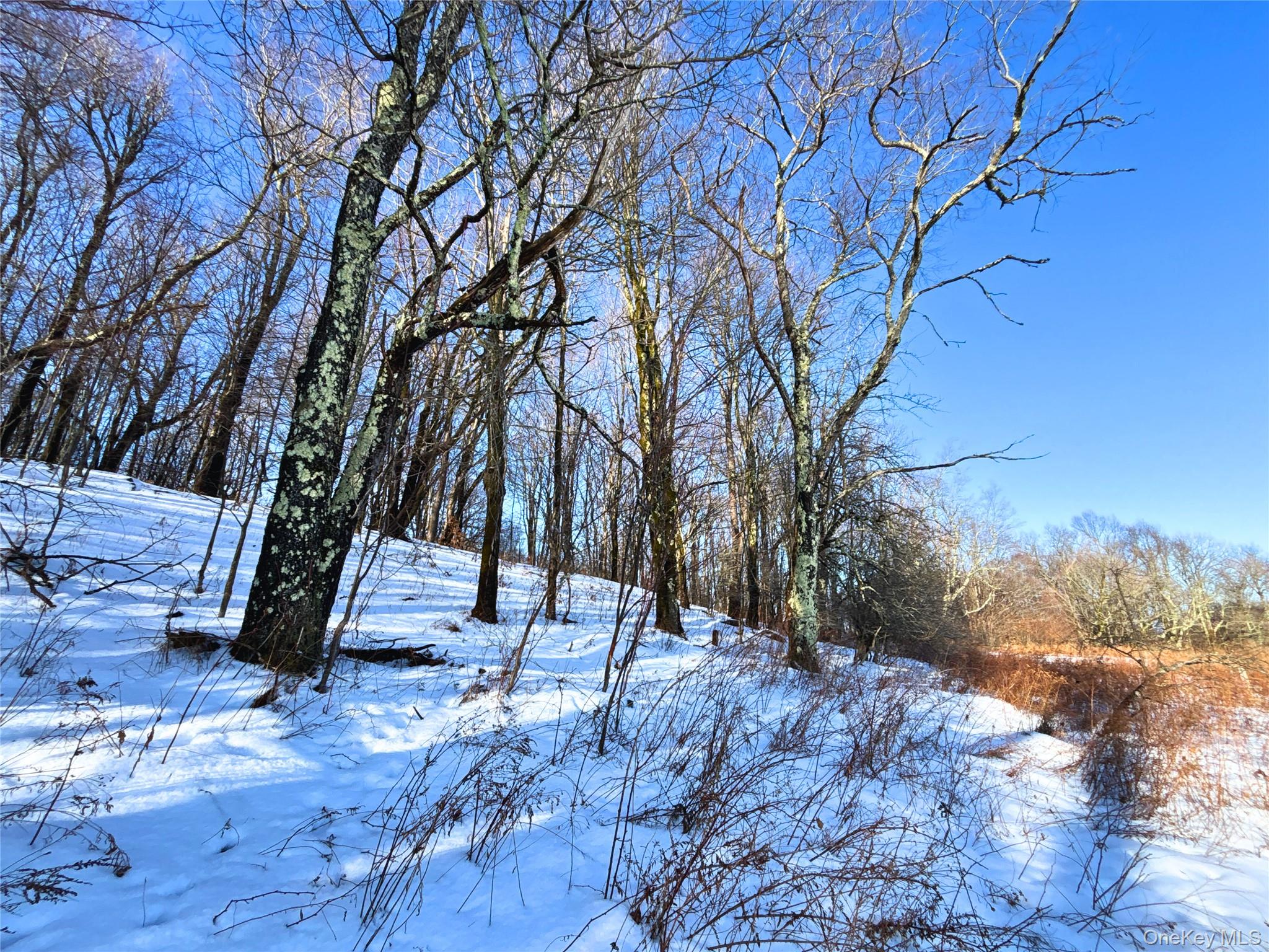 #17 photo, Lot 41-42 Hamden Hill Road, Hamden , NY 13782