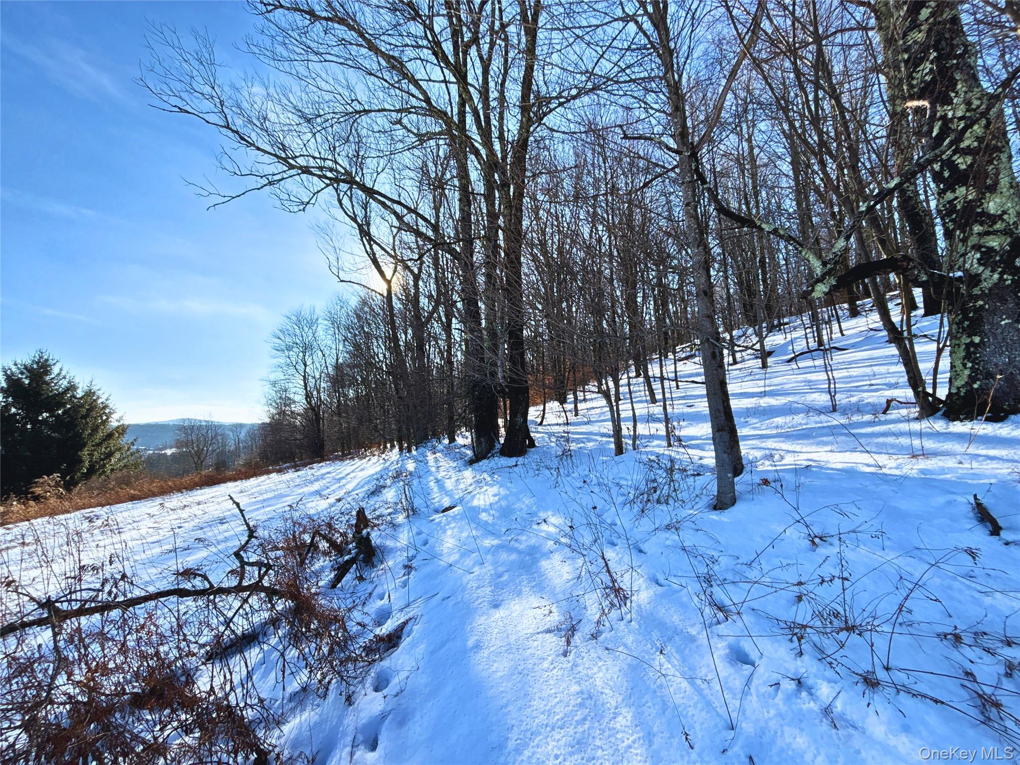 #18 photo, Lot 41-42 Hamden Hill Road, Hamden , NY 13782