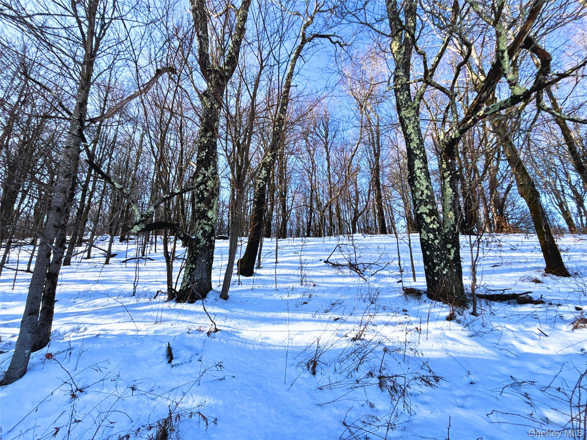 #19 photo, Lot 41-42 Hamden Hill Road, Hamden , NY 13782