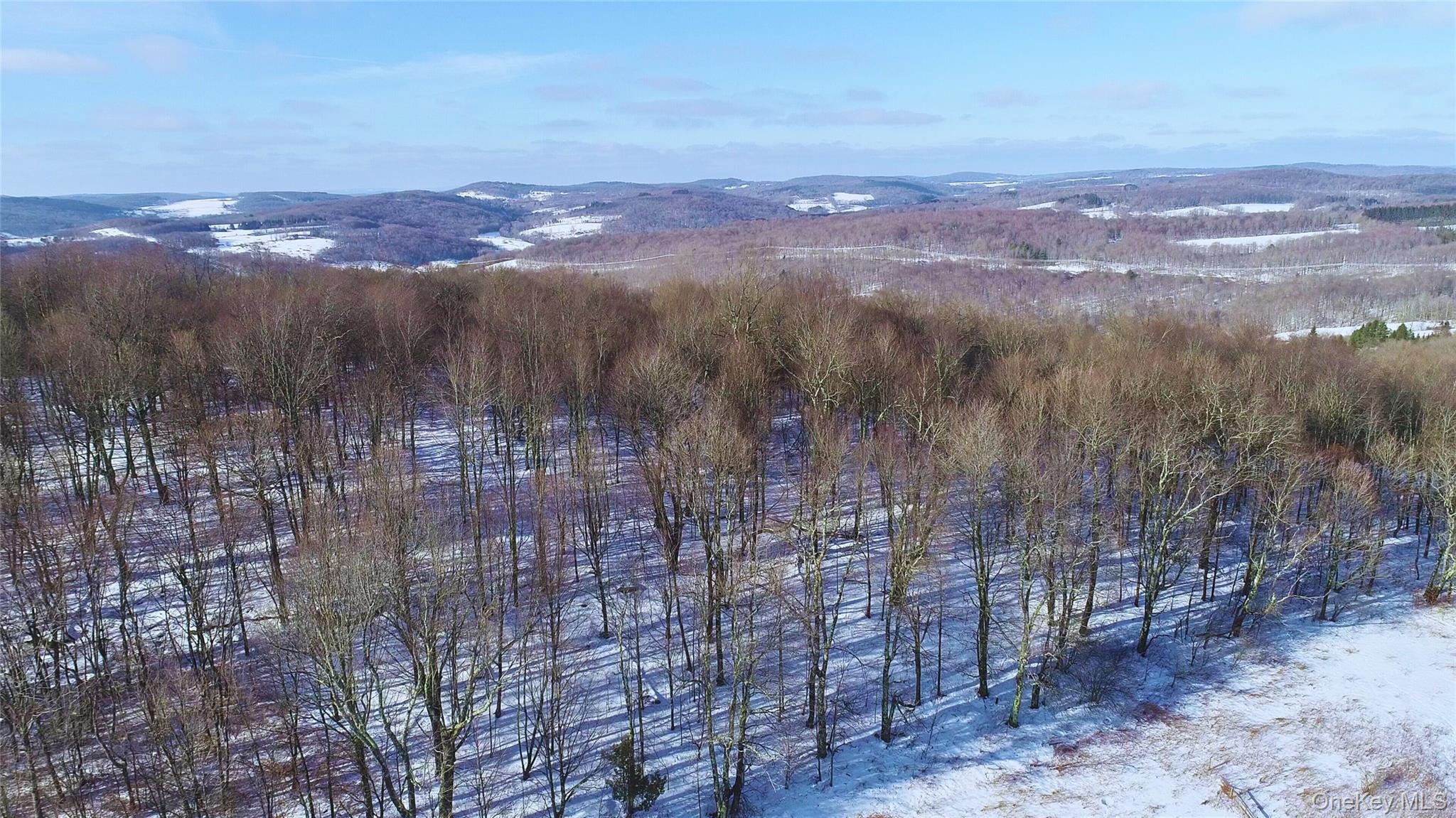 #20 photo, Lot 41-42 Hamden Hill Road, Hamden , NY 13782