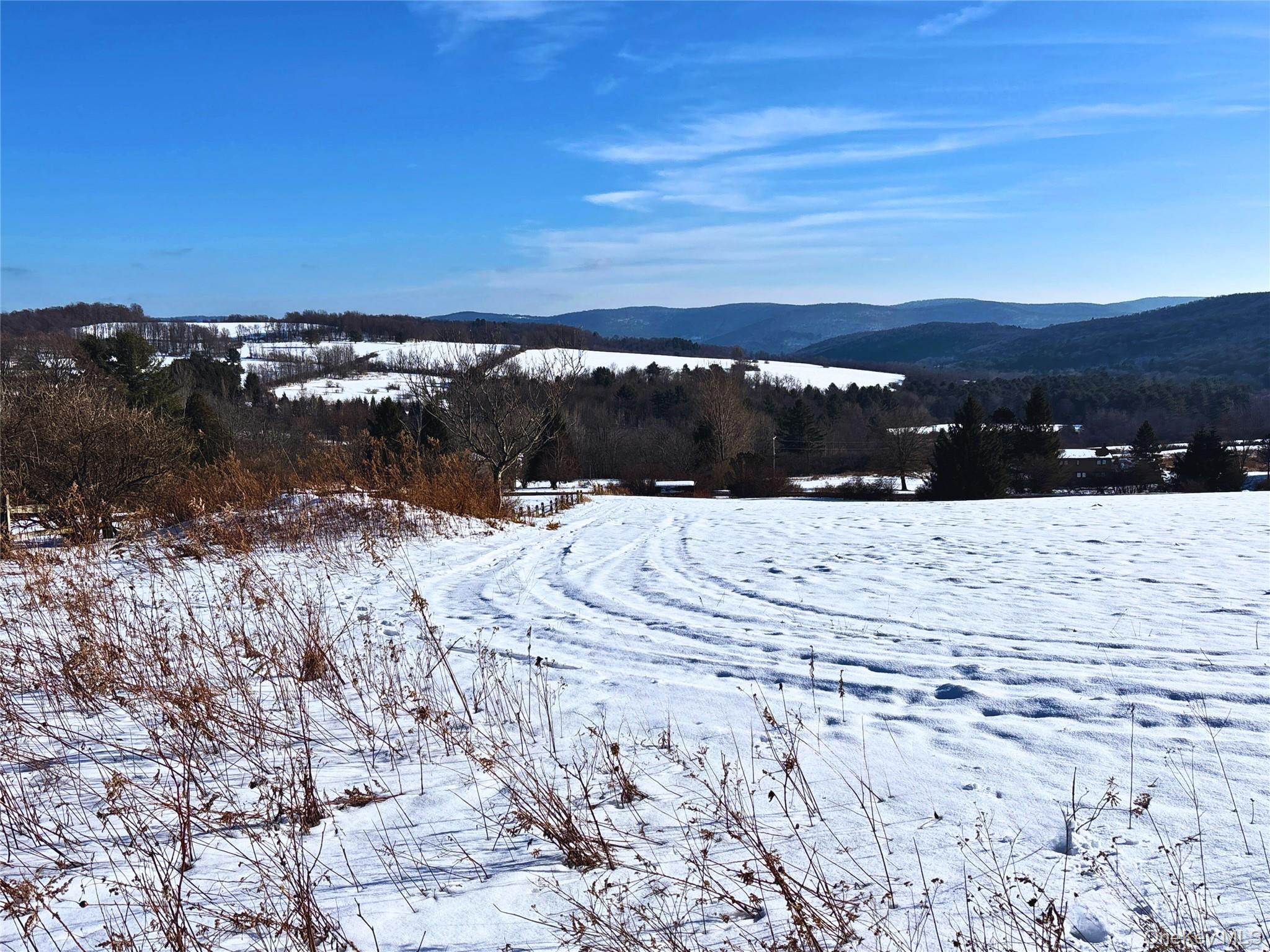 #3 photo, Lot 41-42 Hamden Hill Road, Hamden , NY 13782