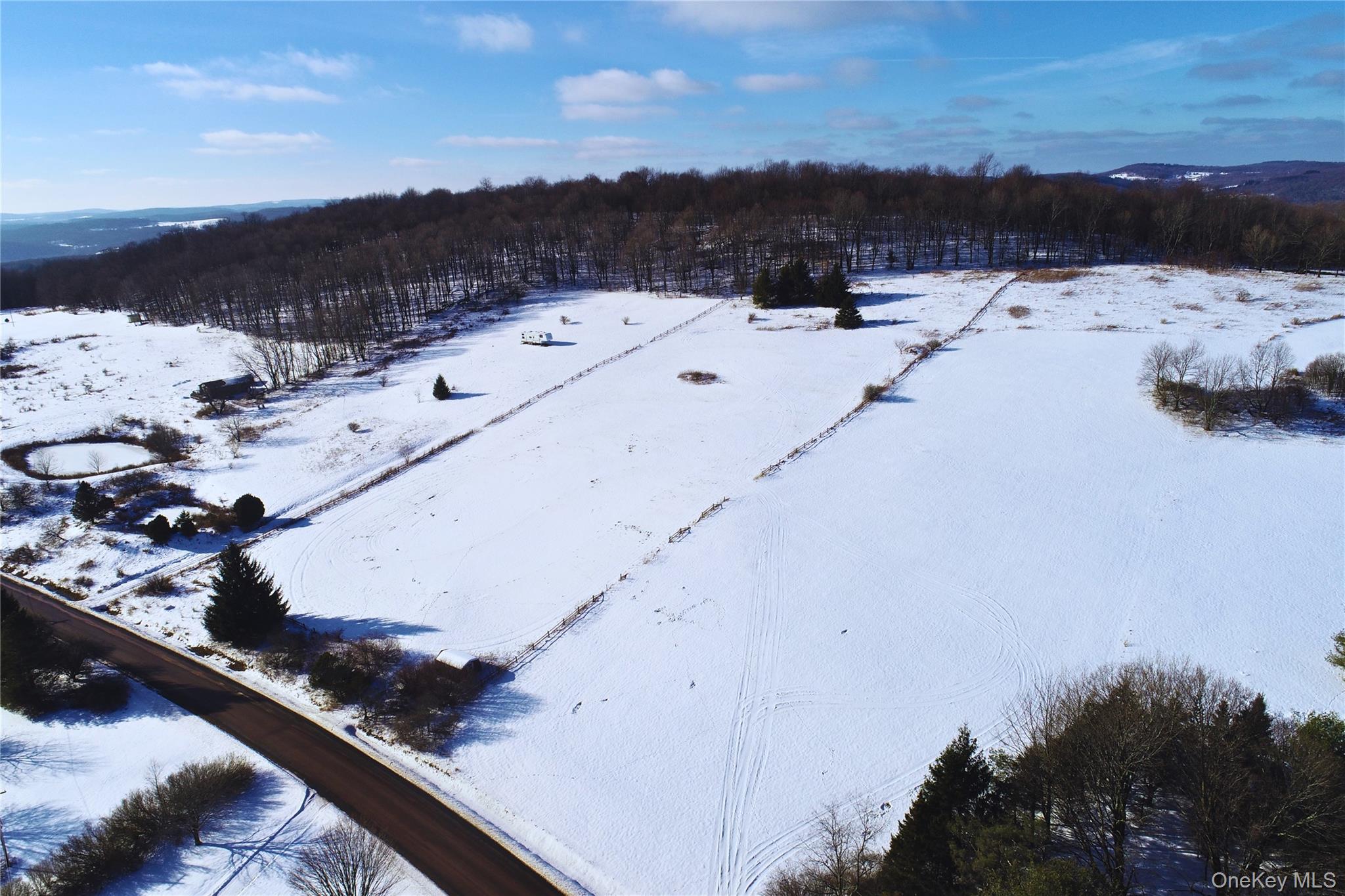 #4 photo, Lot 41-42 Hamden Hill Road, Hamden , NY 13782