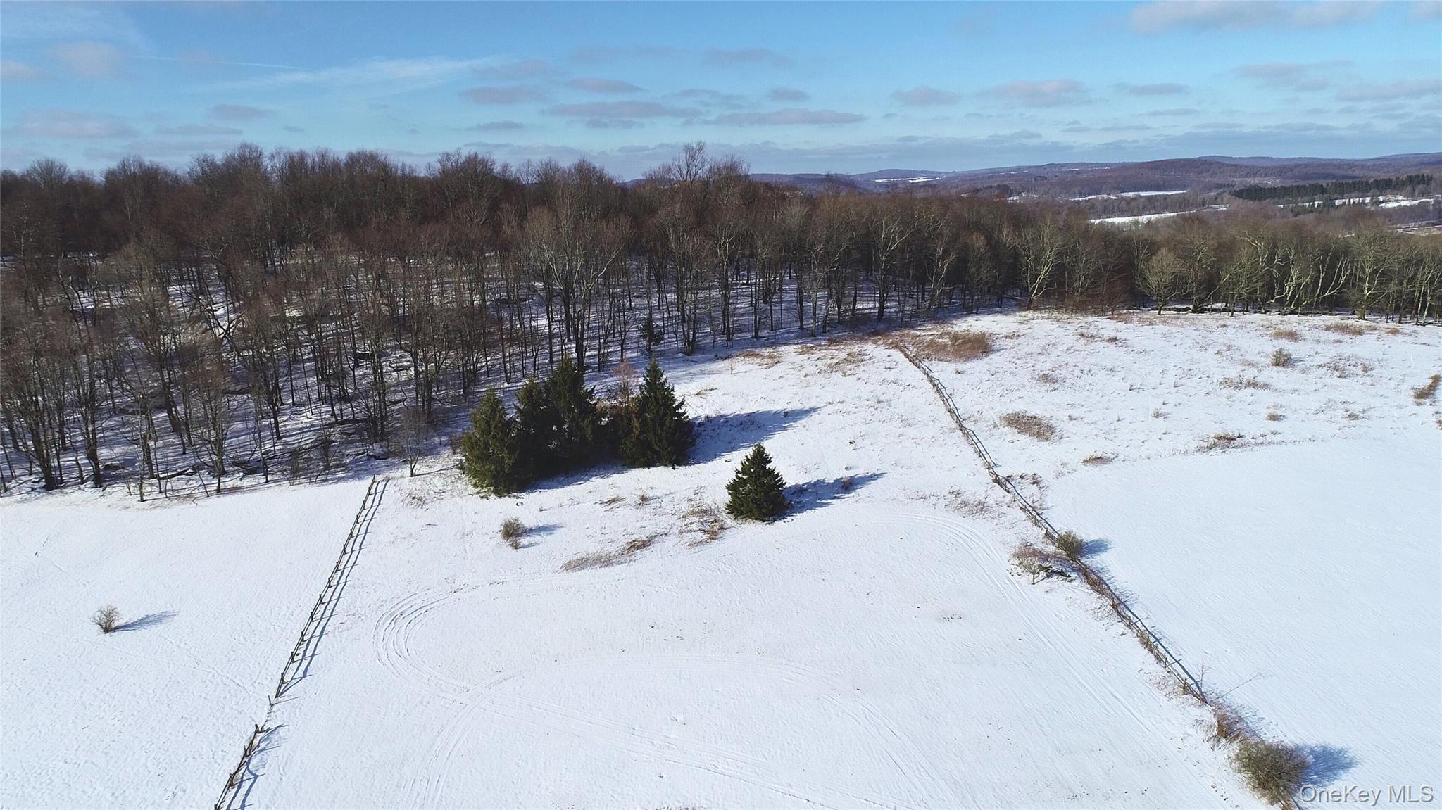 #5 photo, Lot 41-42 Hamden Hill Road, Hamden , NY 13782