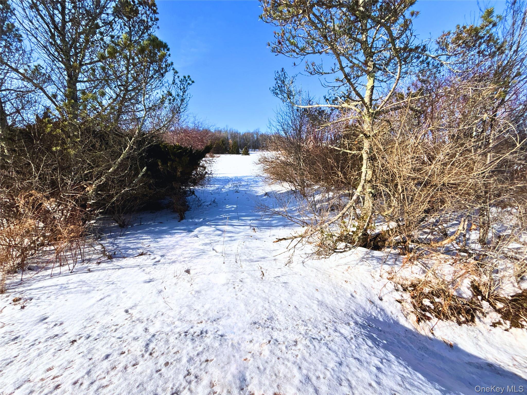 #7 photo, Lot 41-42 Hamden Hill Road, Hamden , NY 13782