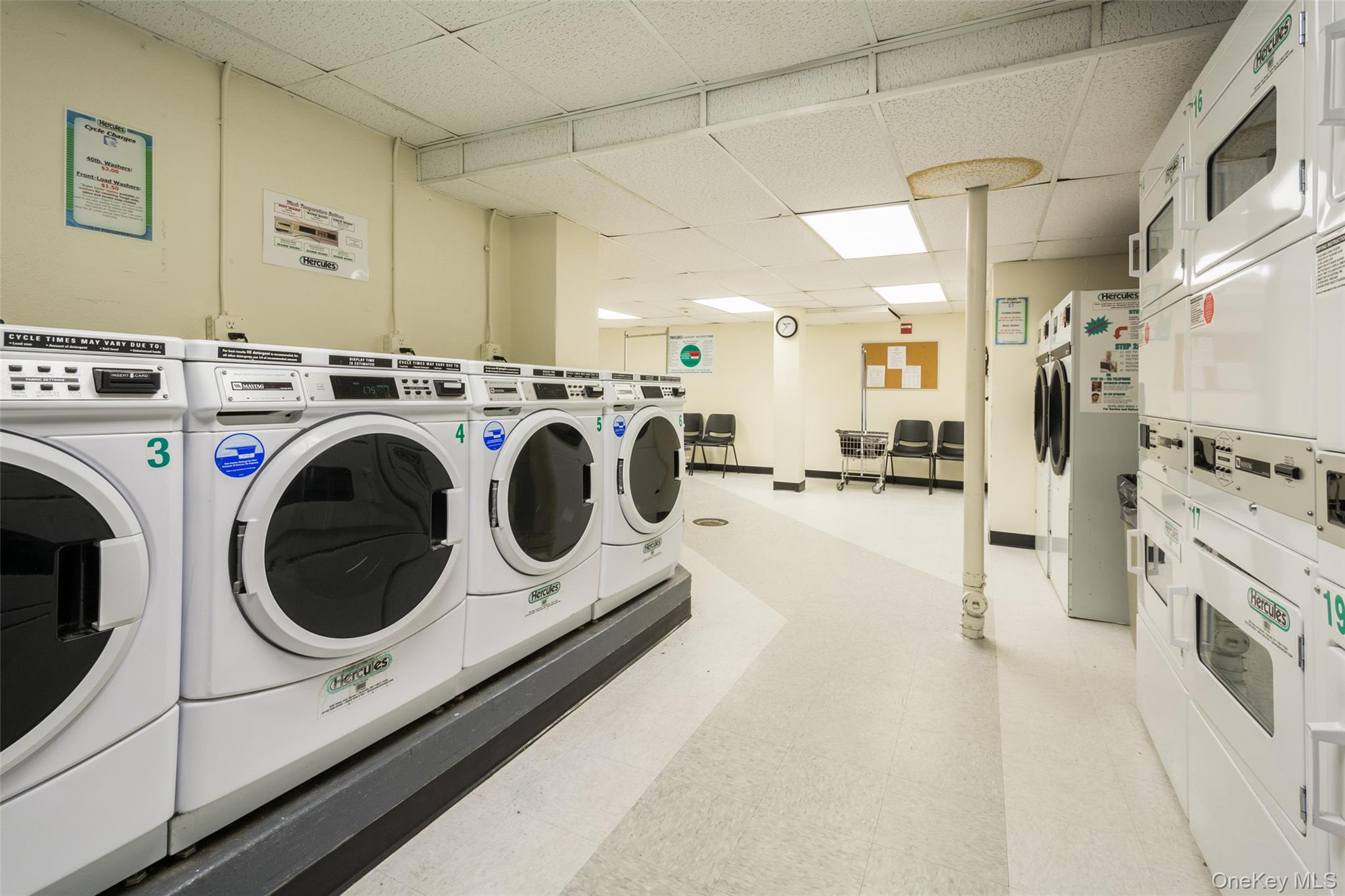 #19 photo, 166 Pearsall Drive, Mount Vernon , NY 10552