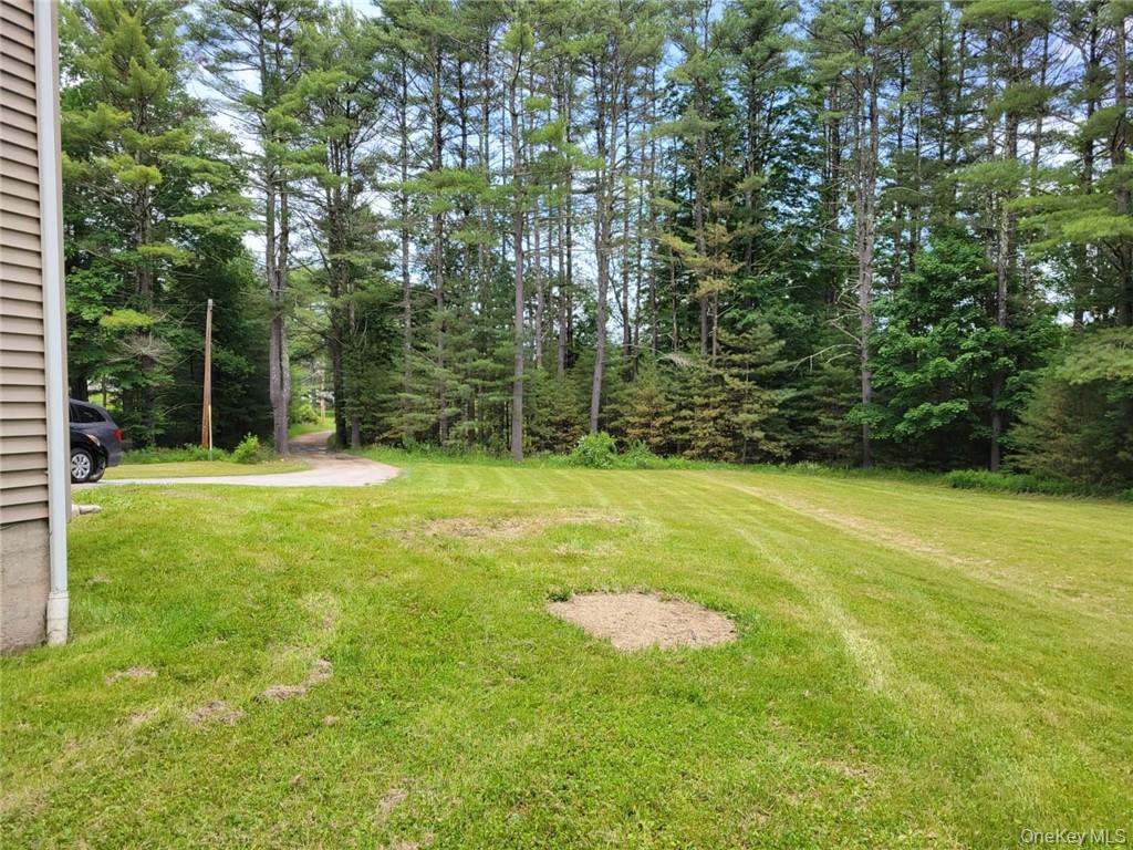 #12 photo, 739 State Route 42, Sparrowbush , NY 12780