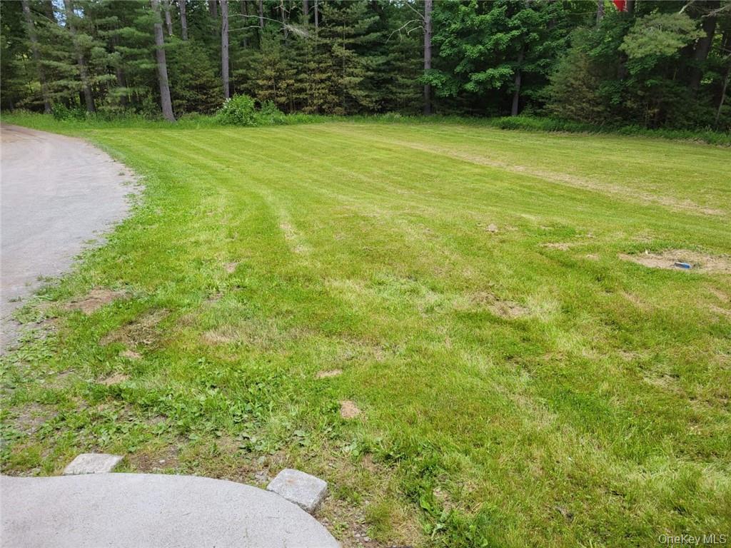 #15 photo, 739 State Route 42, Sparrowbush , NY 12780