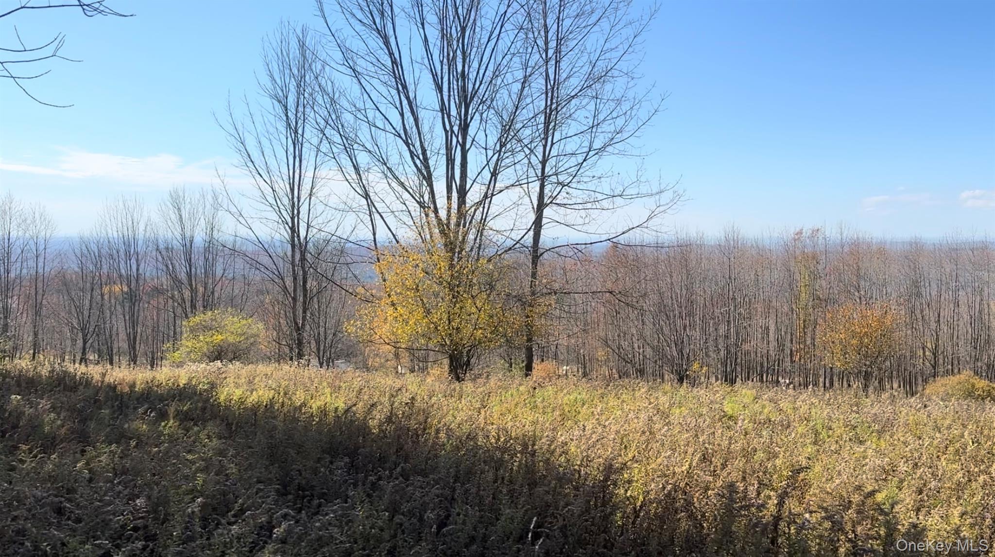 #2 photo, Chaffee Road, Liberty , NY 12754