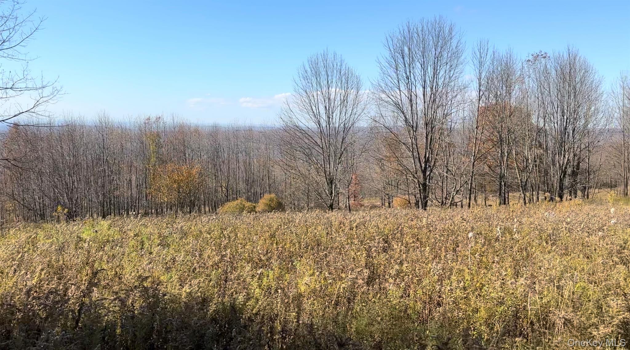 #3 photo, Chaffee Road, Liberty , NY 12754