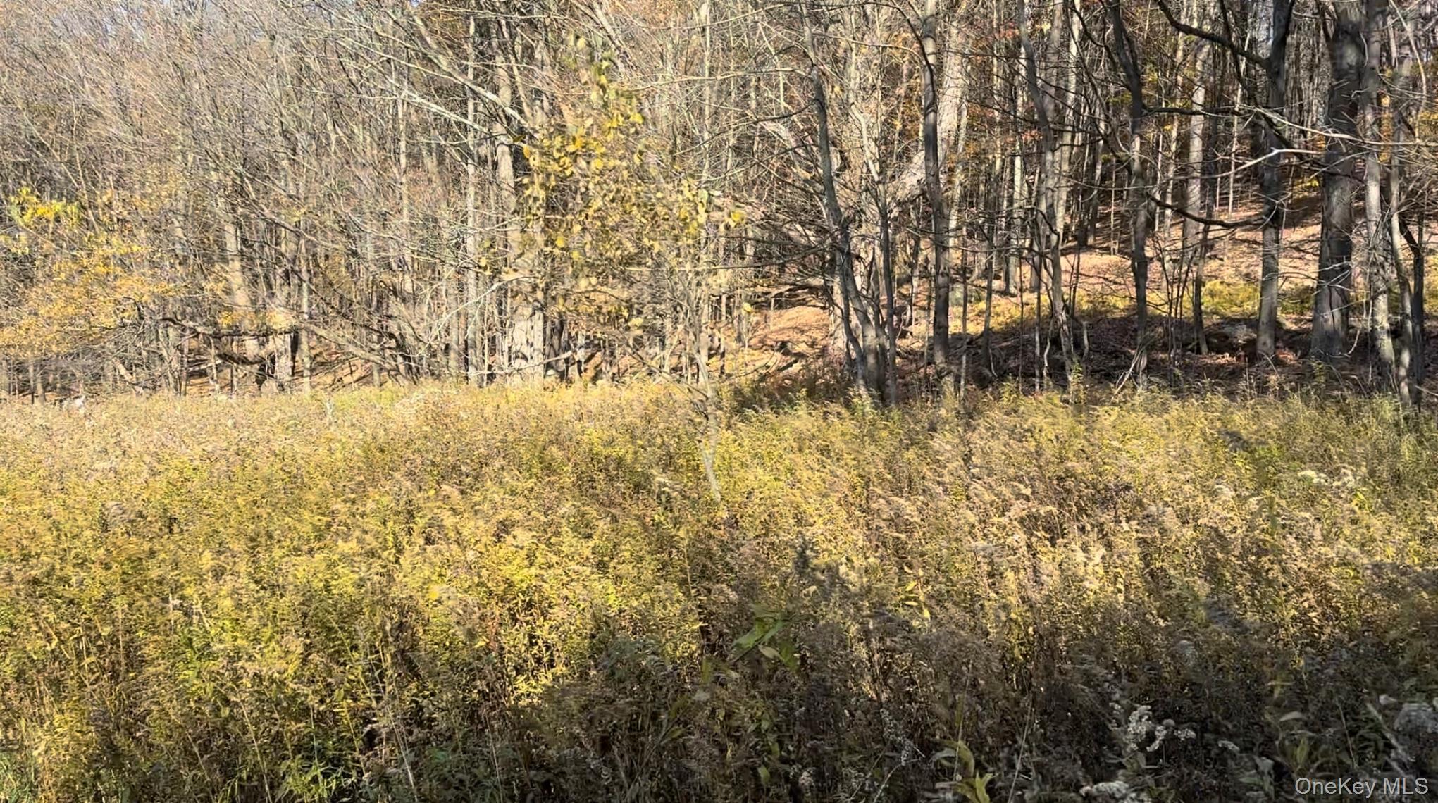 #5 photo, Chaffee Road, Liberty , NY 12754