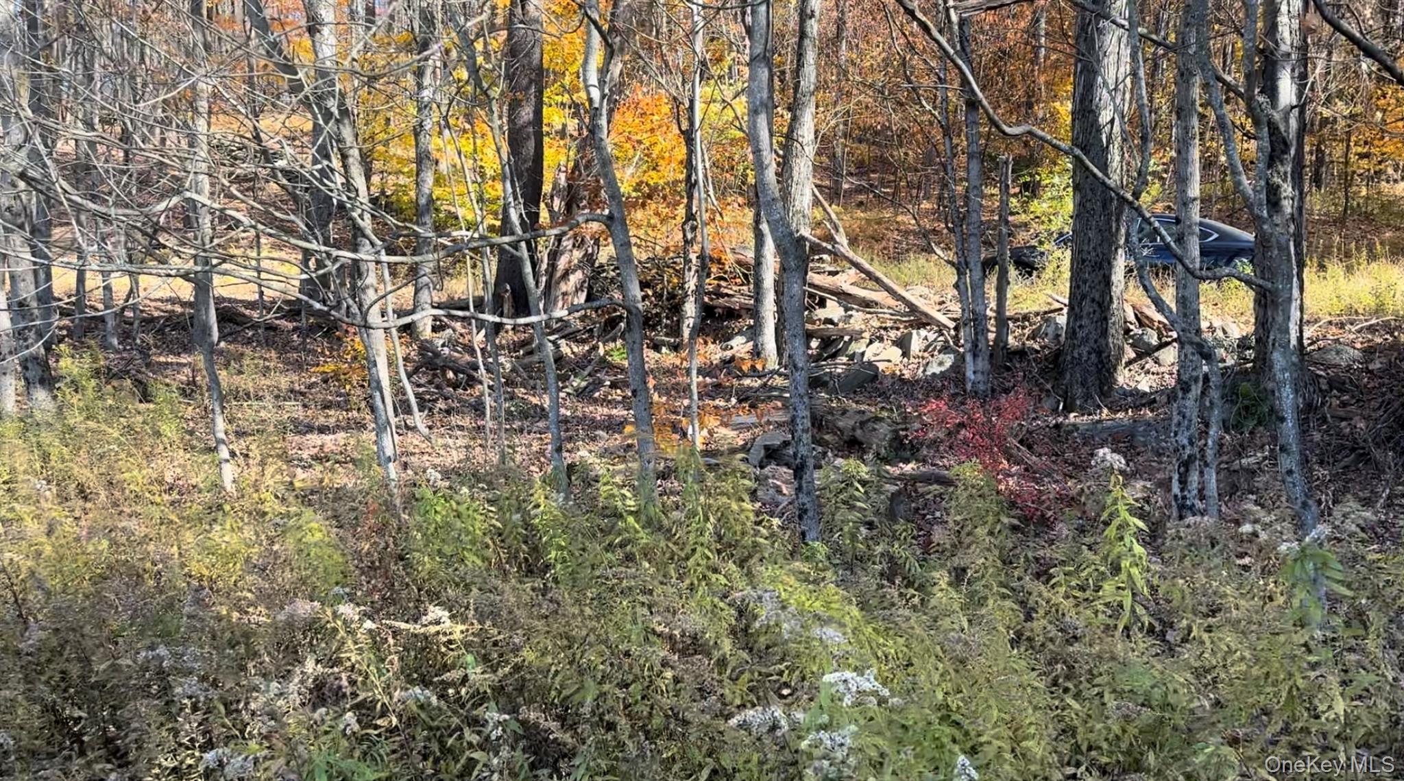 #6 photo, Chaffee Road, Liberty , NY 12754