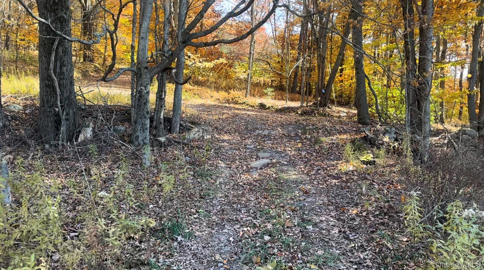 #7 photo, Chaffee Road, Liberty , NY 12754