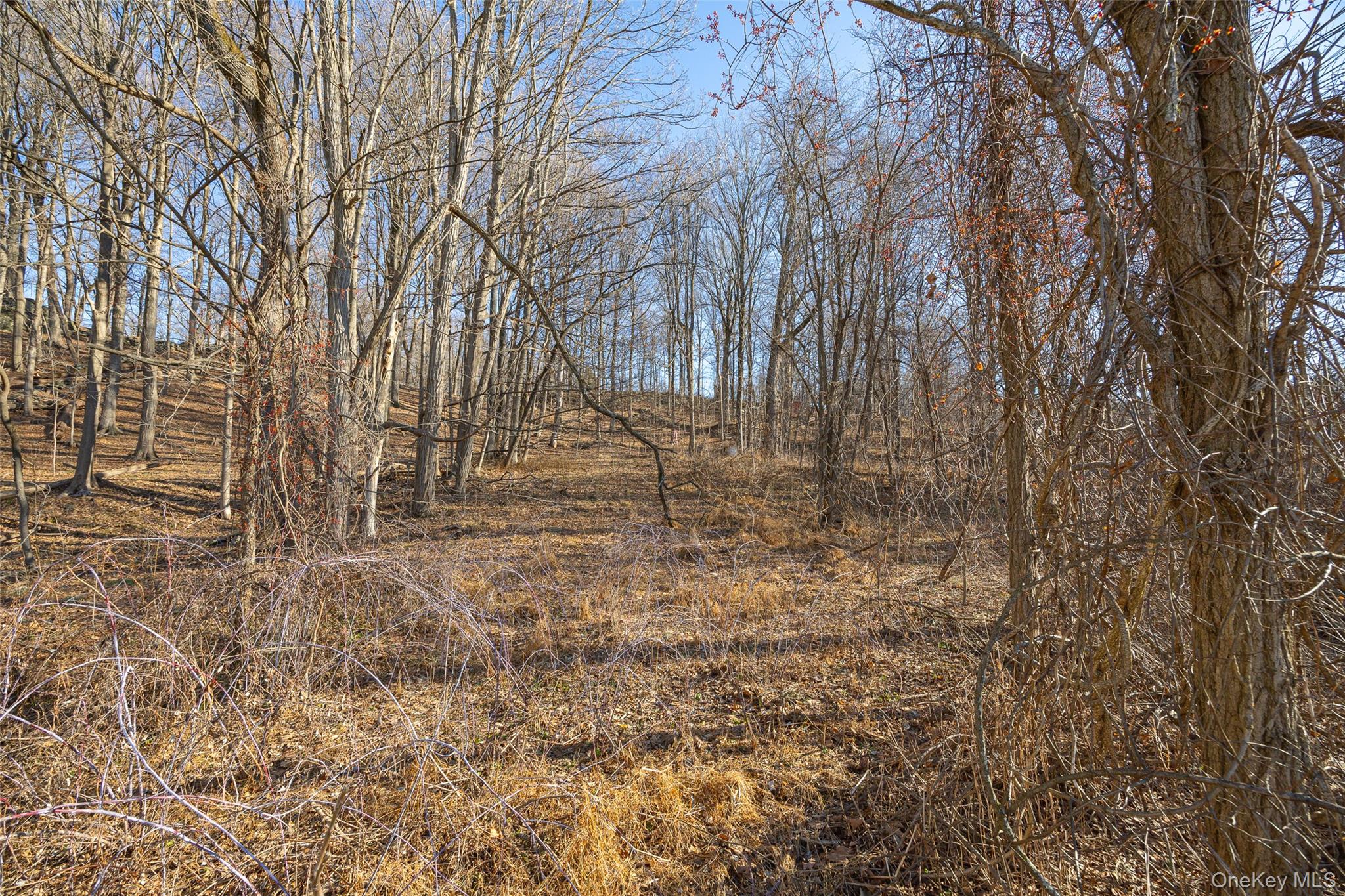 #7 photo, 74 Old Albany Post Road, Rhinebeck , NY 12572