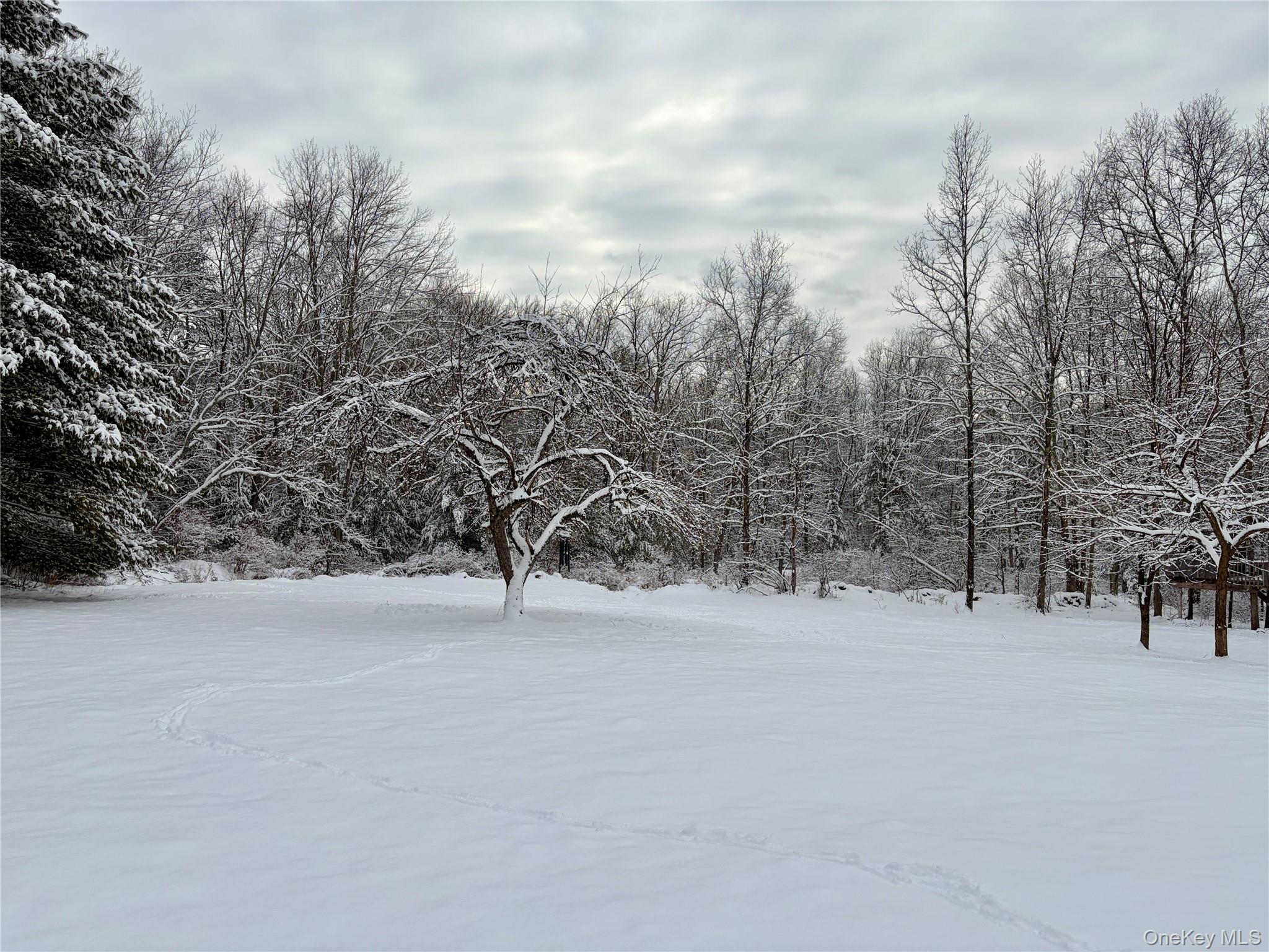 #4 photo, 156 Bloom Road, Barryville , NY 12719