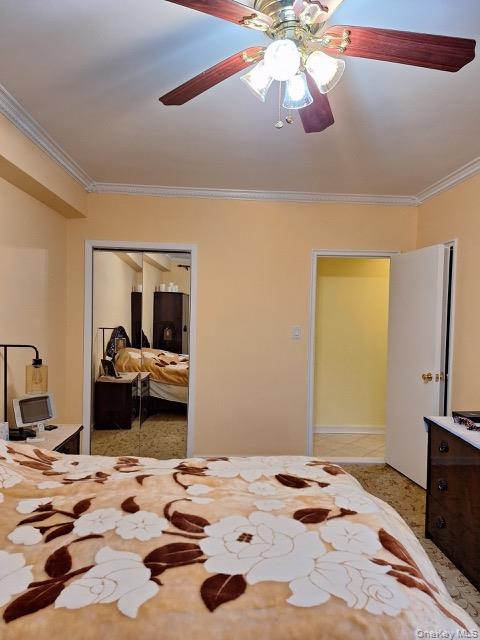 #13 photo, 250 Central Avenue, Нассау ‖ Lawrence , NY 11559