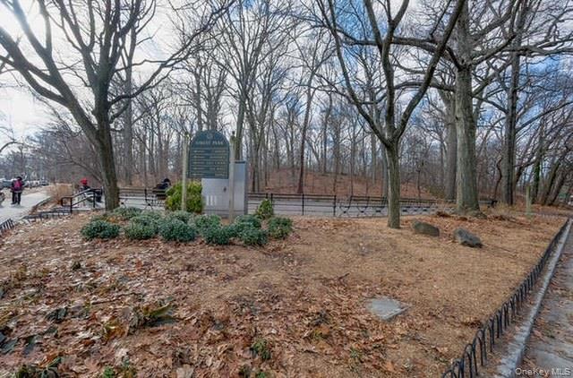 #15 photo, 115-25 Metropolitan Avenue, Kew Gardens , NY 11418