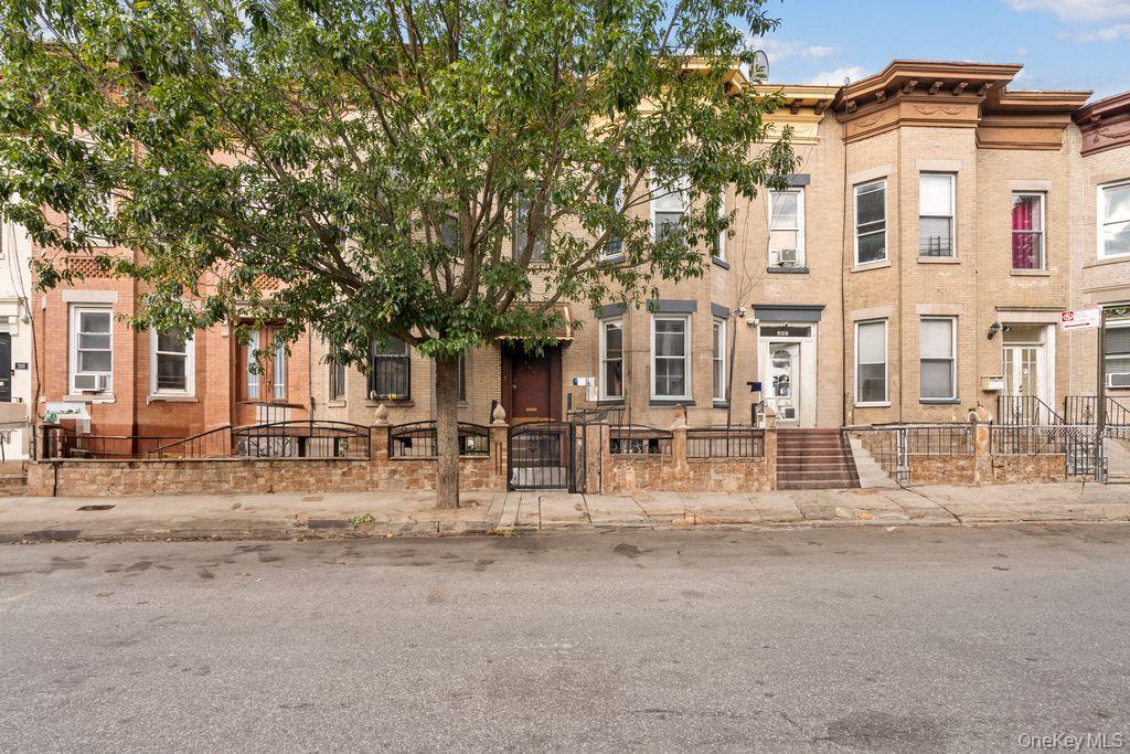 #2 photo, 262 E 23rd Street, Бруклин ‖ Brooklyn , NY 11226