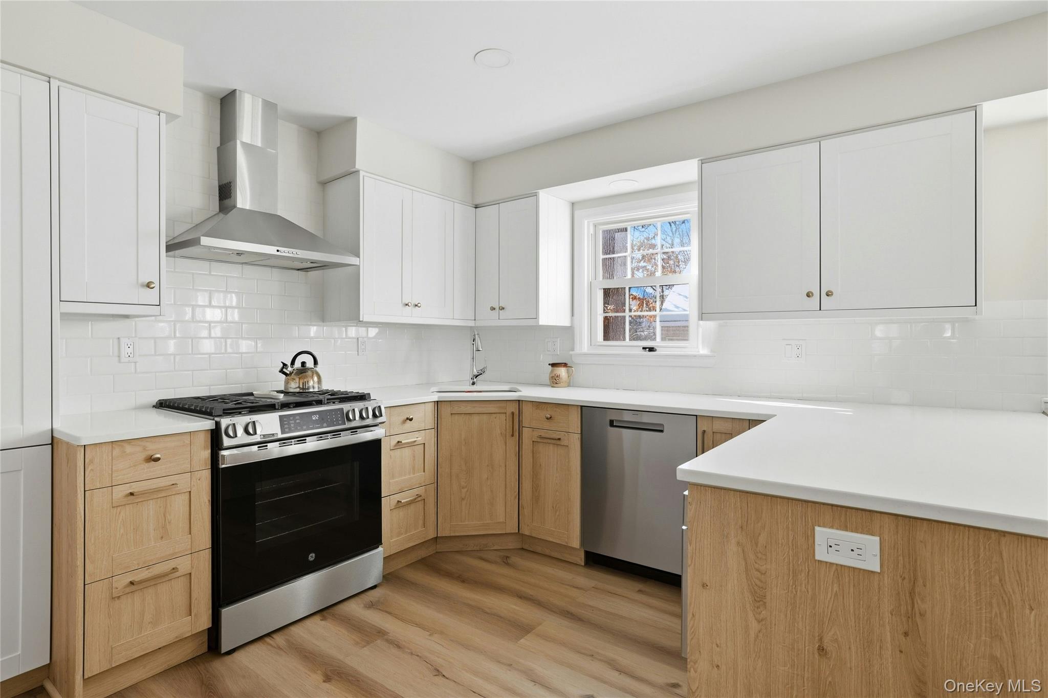 #14 photo, 82 Spruce Avenue, מחוז נסאו Floral Park , NY 11001