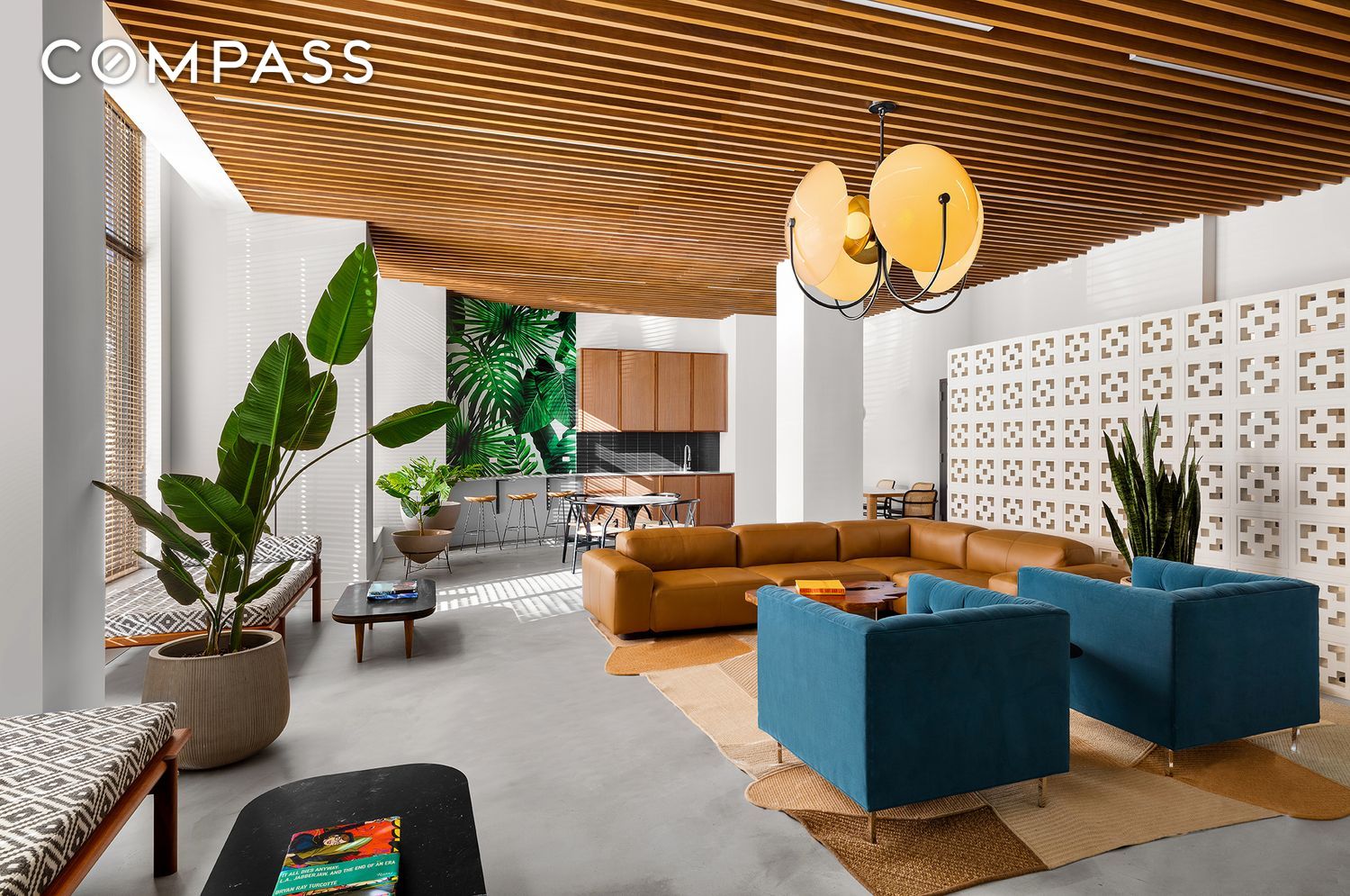 #11 photo, 111 Montgomery Street, 布鲁克林 Crown Heights , NY 11225