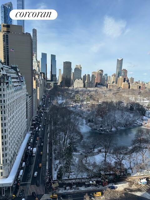 #5 photo, 781 5TH Avenue, מנהטן Lenox Hill , NY 10022