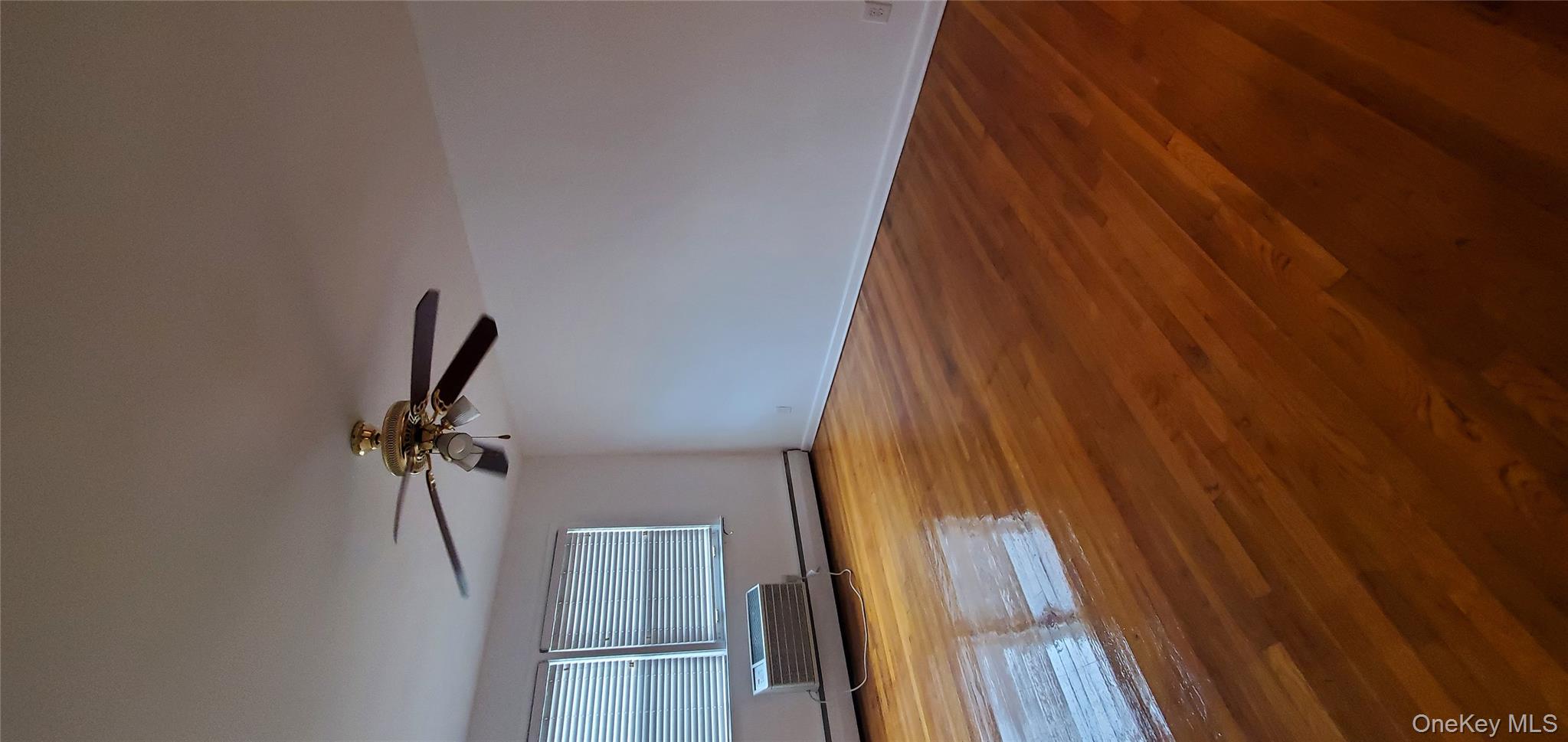 #13 photo, 6046 69th Place, Maspeth , NY 11378