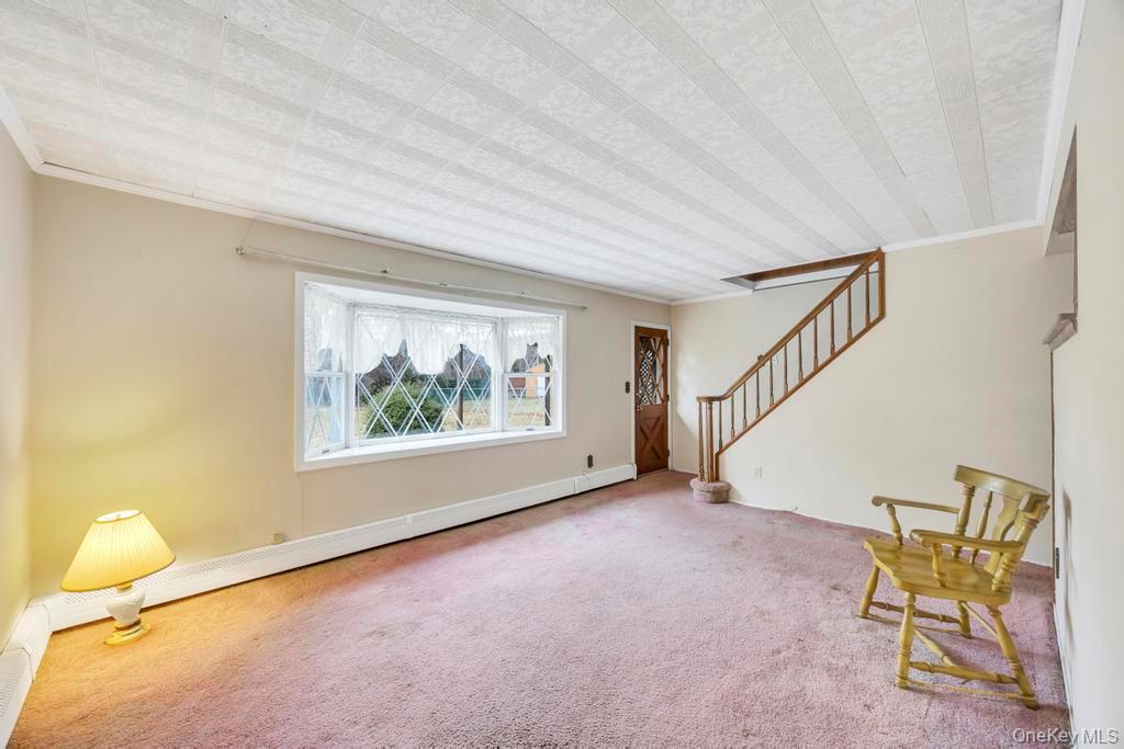 #8 photo, 10 Grape Lane, Нассау ‖ Hicksville , NY 11801