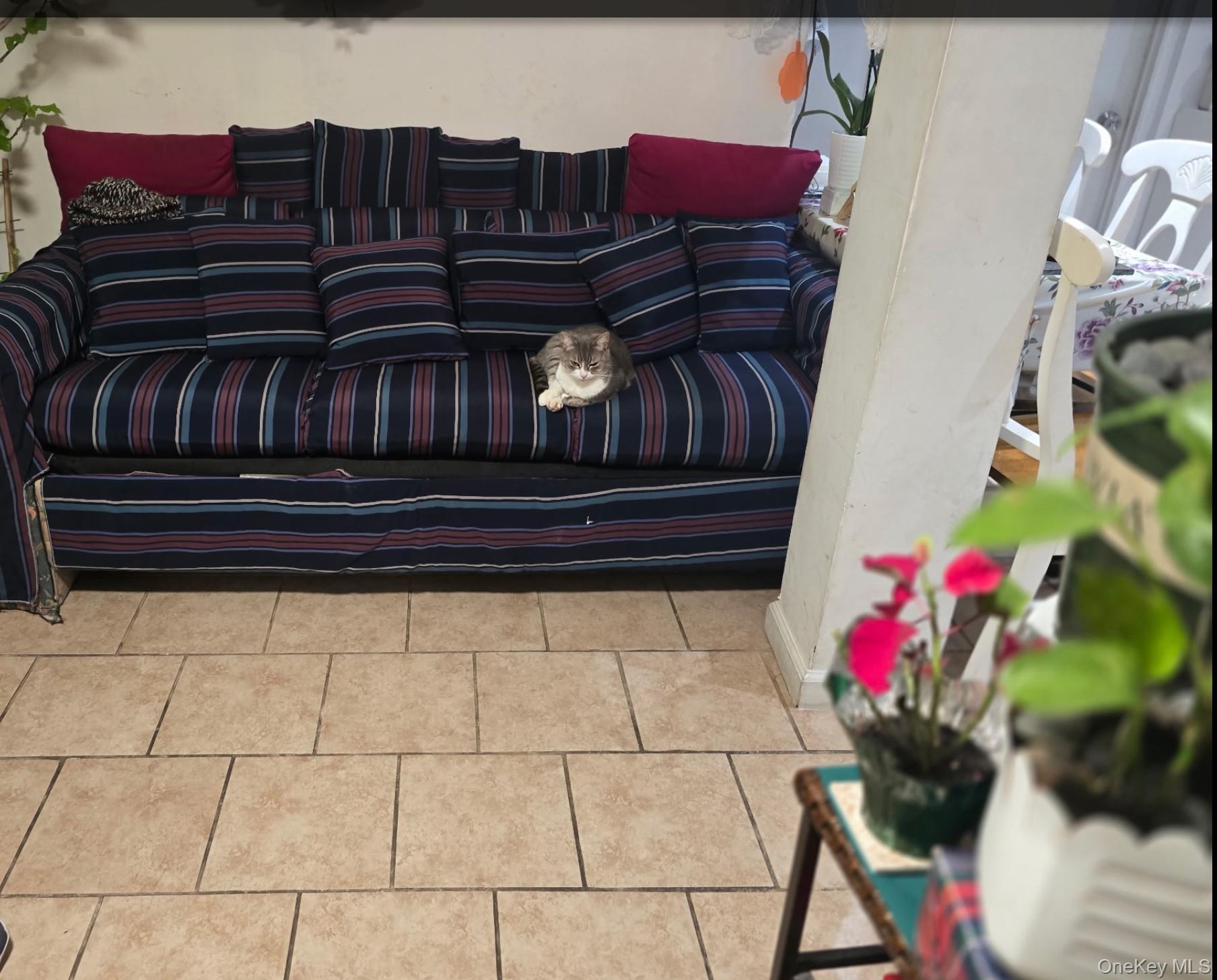 #10 photo, 5 Campion Street, Brentwood , NY 11717