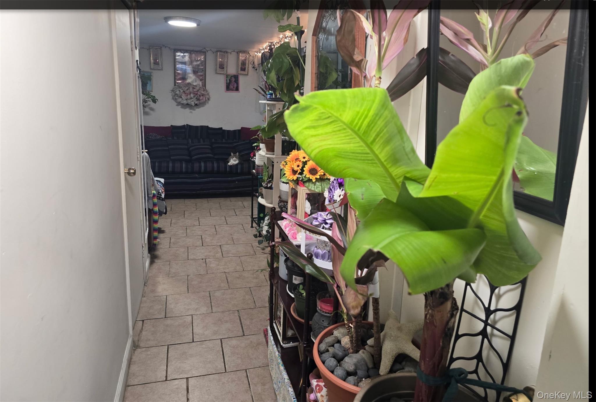 #5 photo, 5 Campion Street, Brentwood , NY 11717