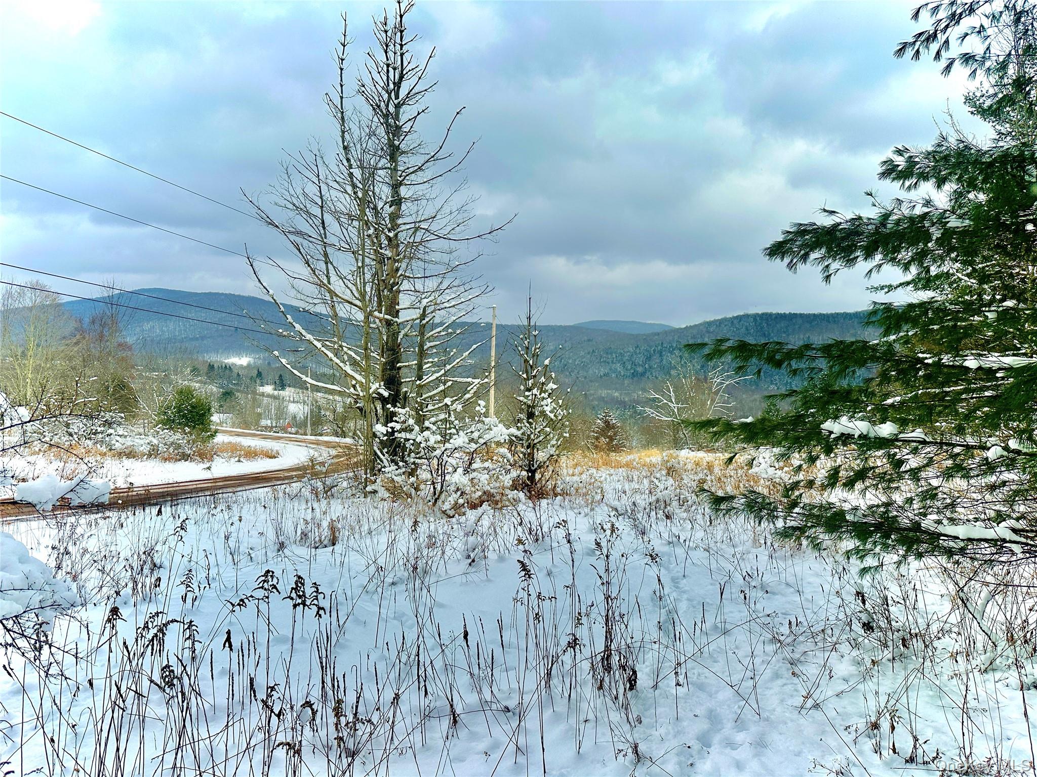 #10 photo, Quail Ridge Road, Margaretville , NY 12455