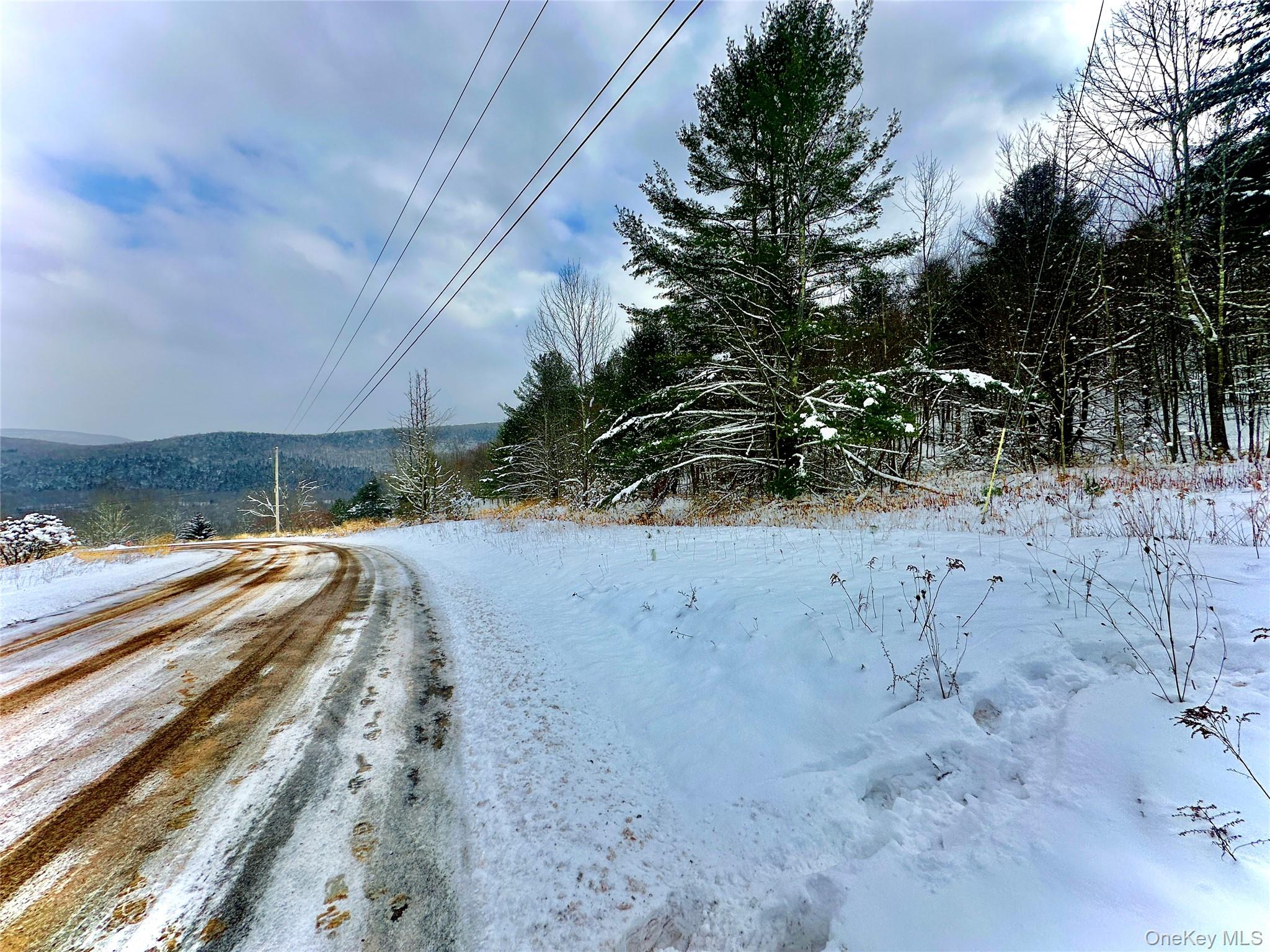 #11 photo, Quail Ridge Road, Margaretville , NY 12455