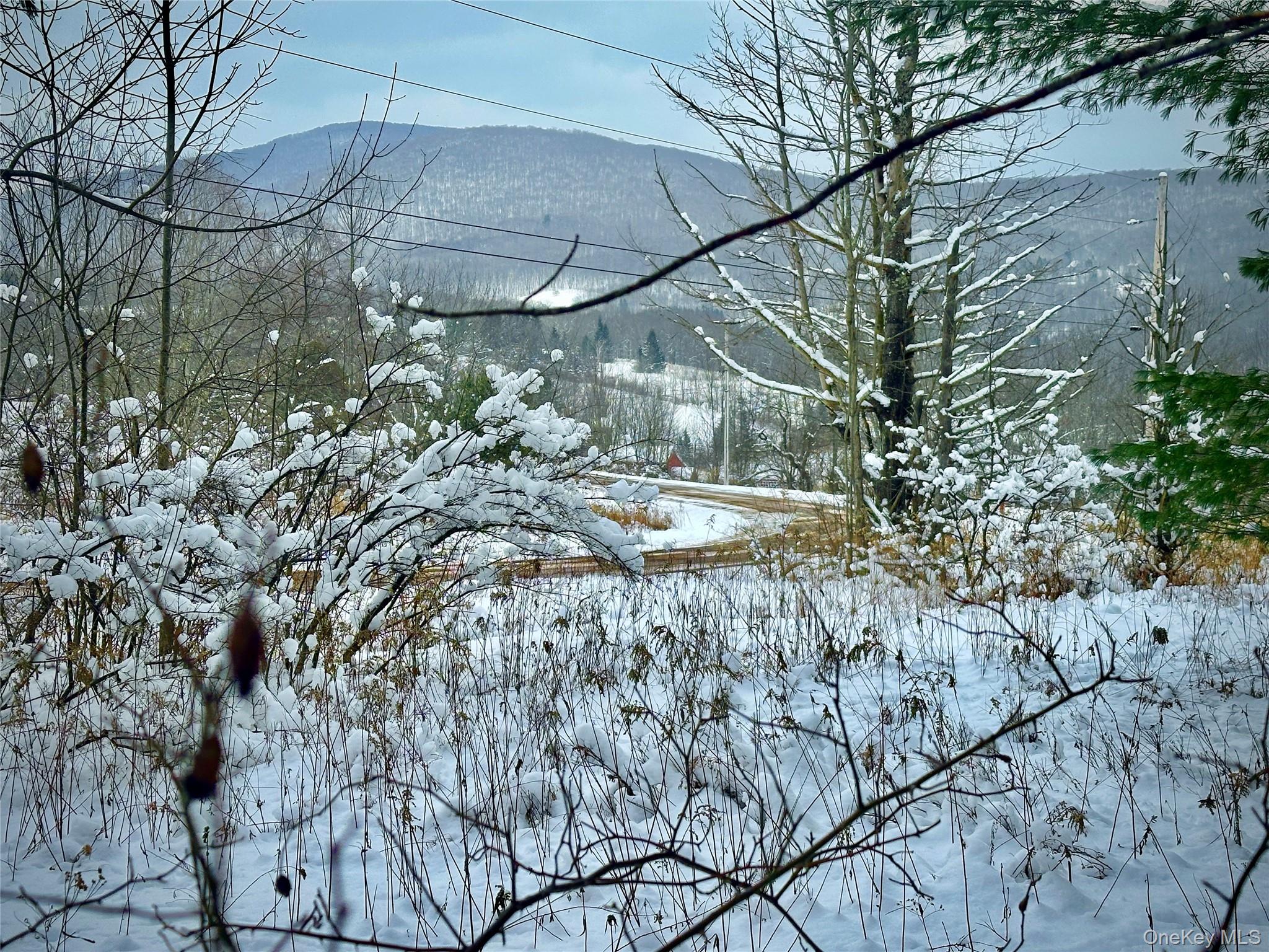 #14 photo, Quail Ridge Road, Margaretville , NY 12455