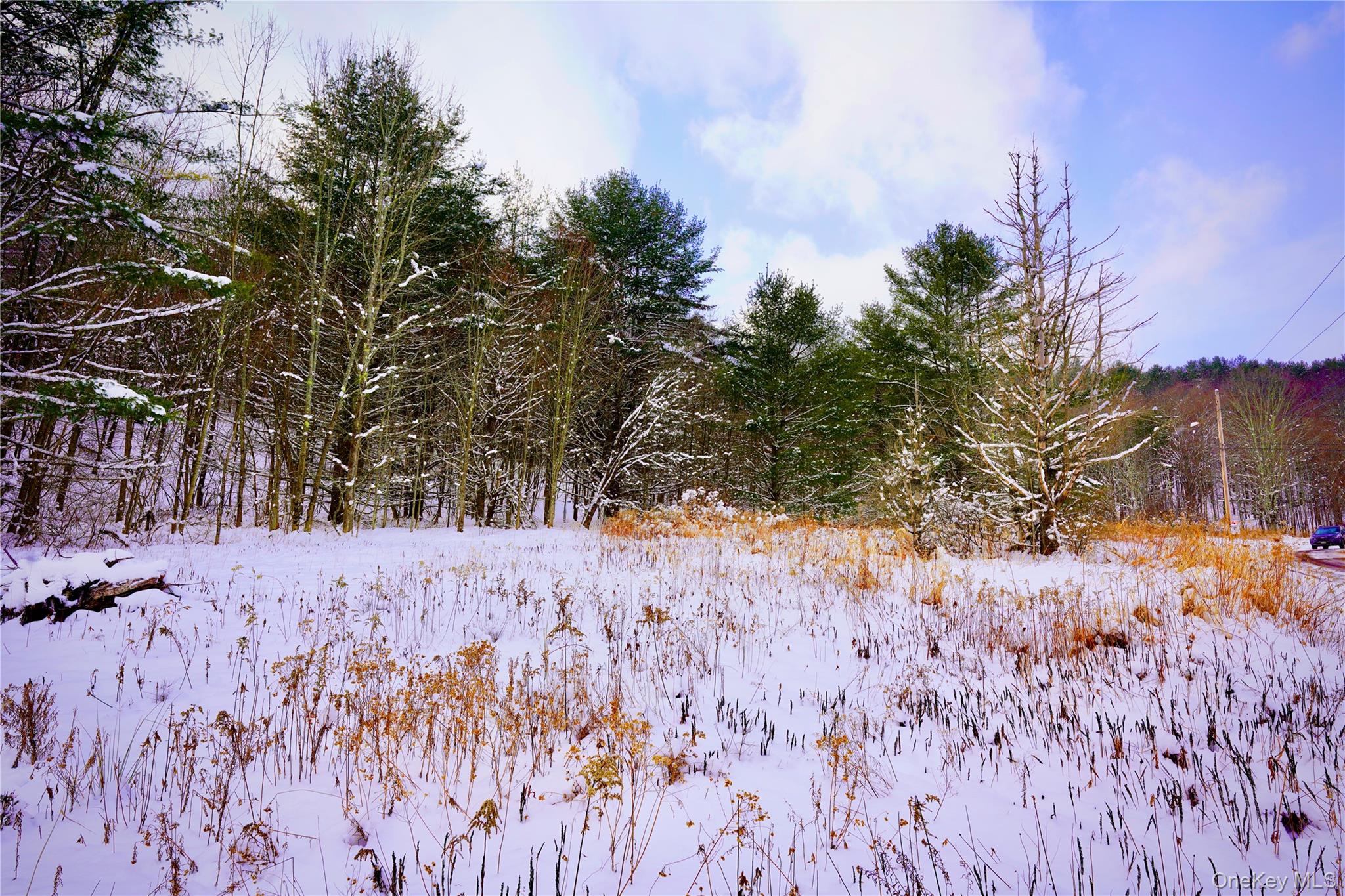 #15 photo, Quail Ridge Road, Margaretville , NY 12455