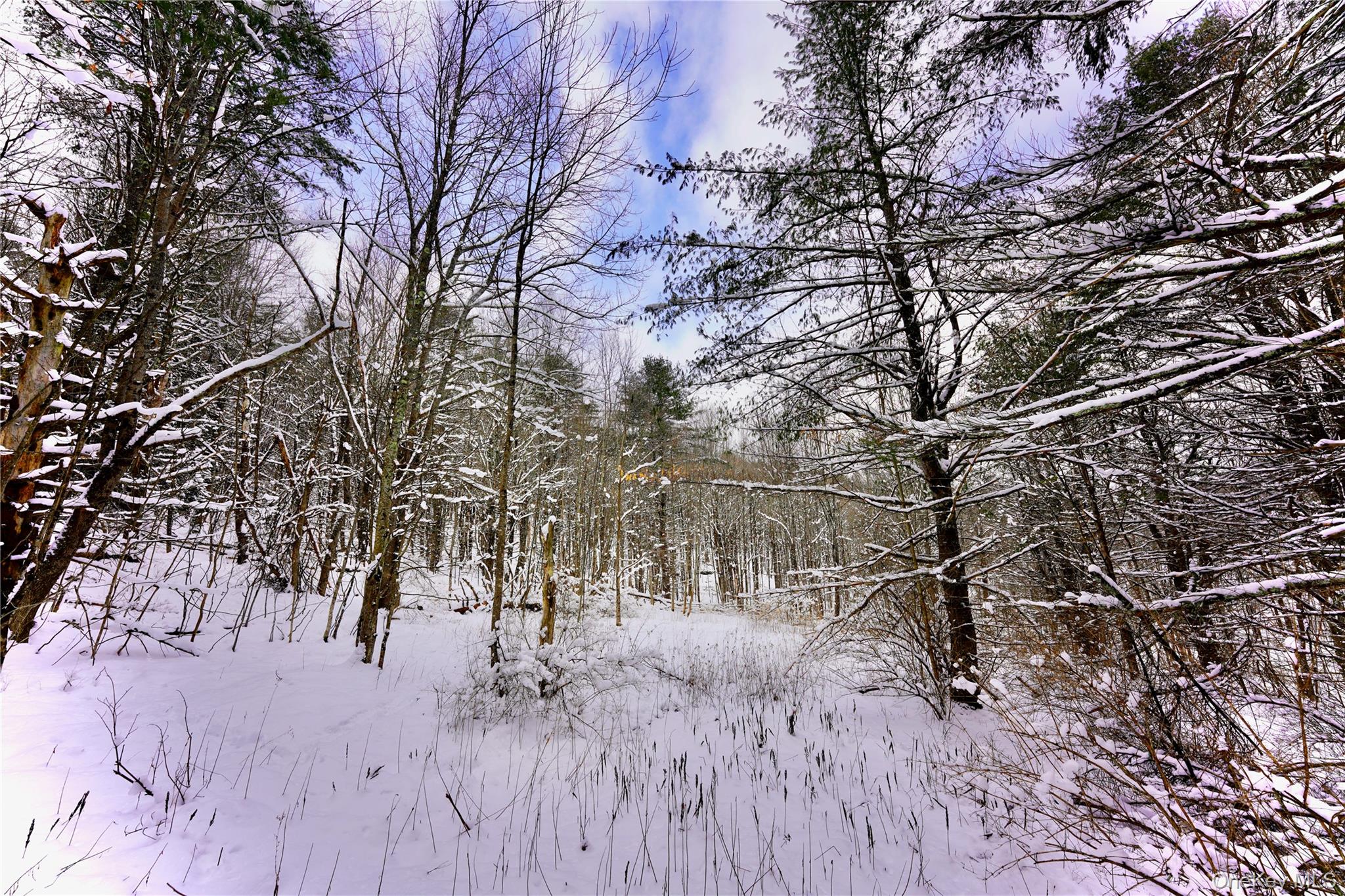 #16 photo, Quail Ridge Road, Margaretville , NY 12455