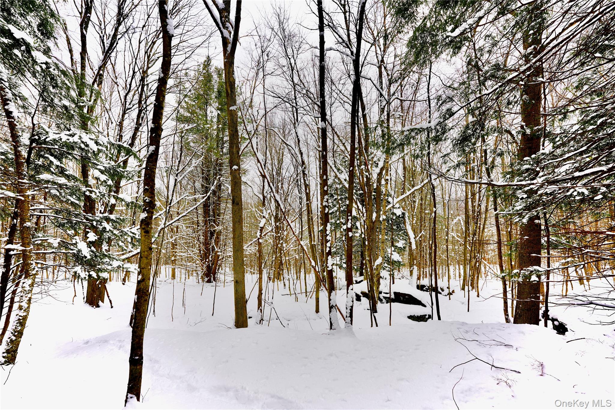 #18 photo, Quail Ridge Road, Margaretville , NY 12455