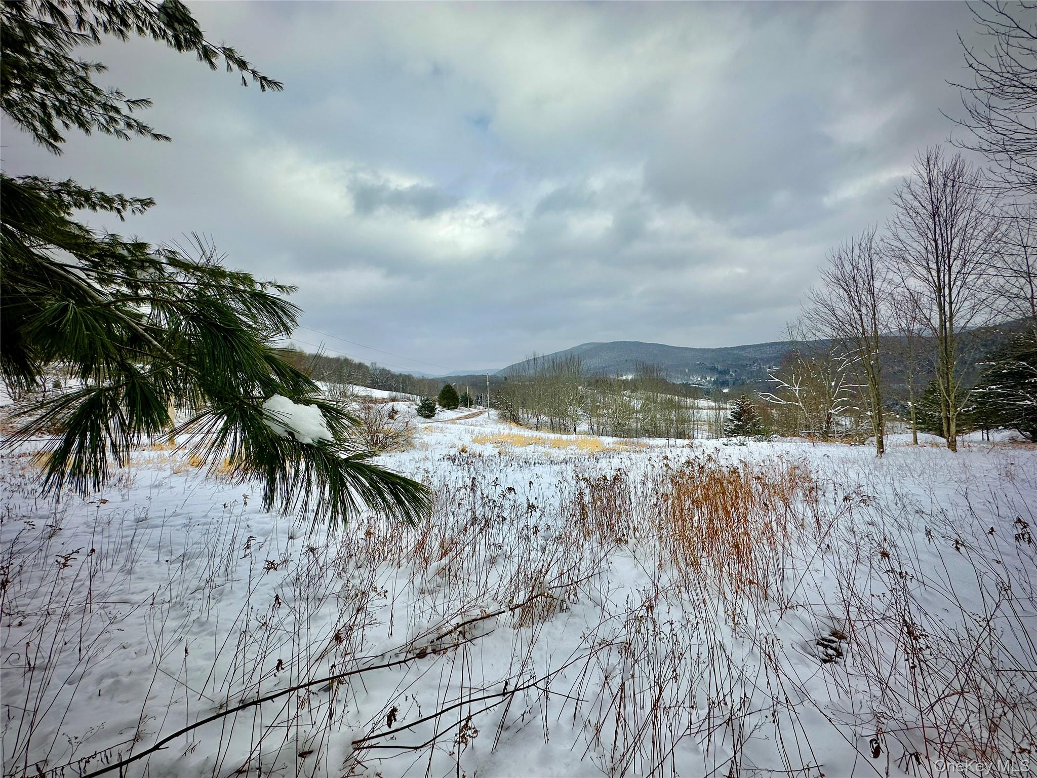 #2 photo, Quail Ridge Road, Margaretville , NY 12455