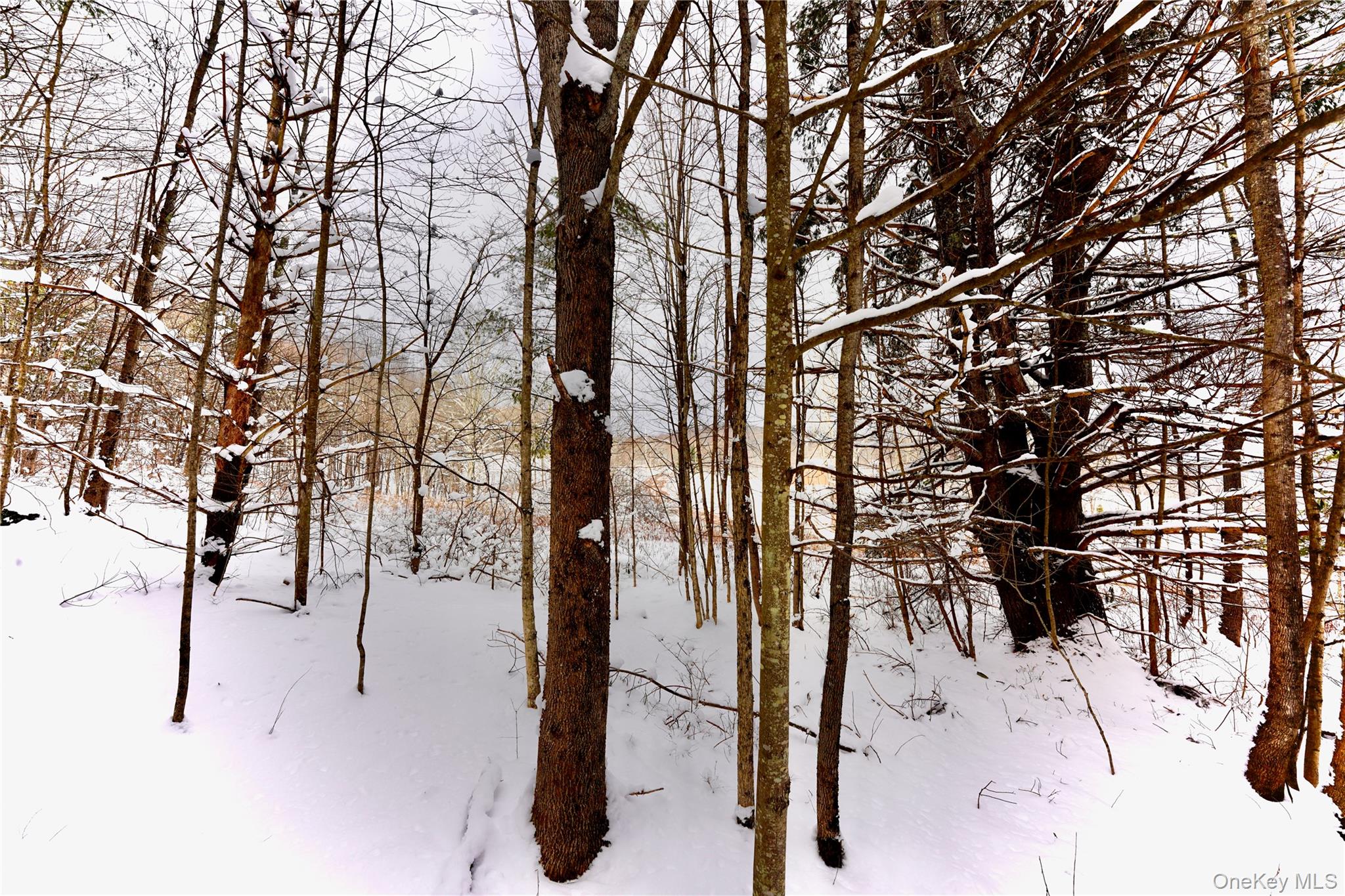 #20 photo, Quail Ridge Road, Margaretville , NY 12455