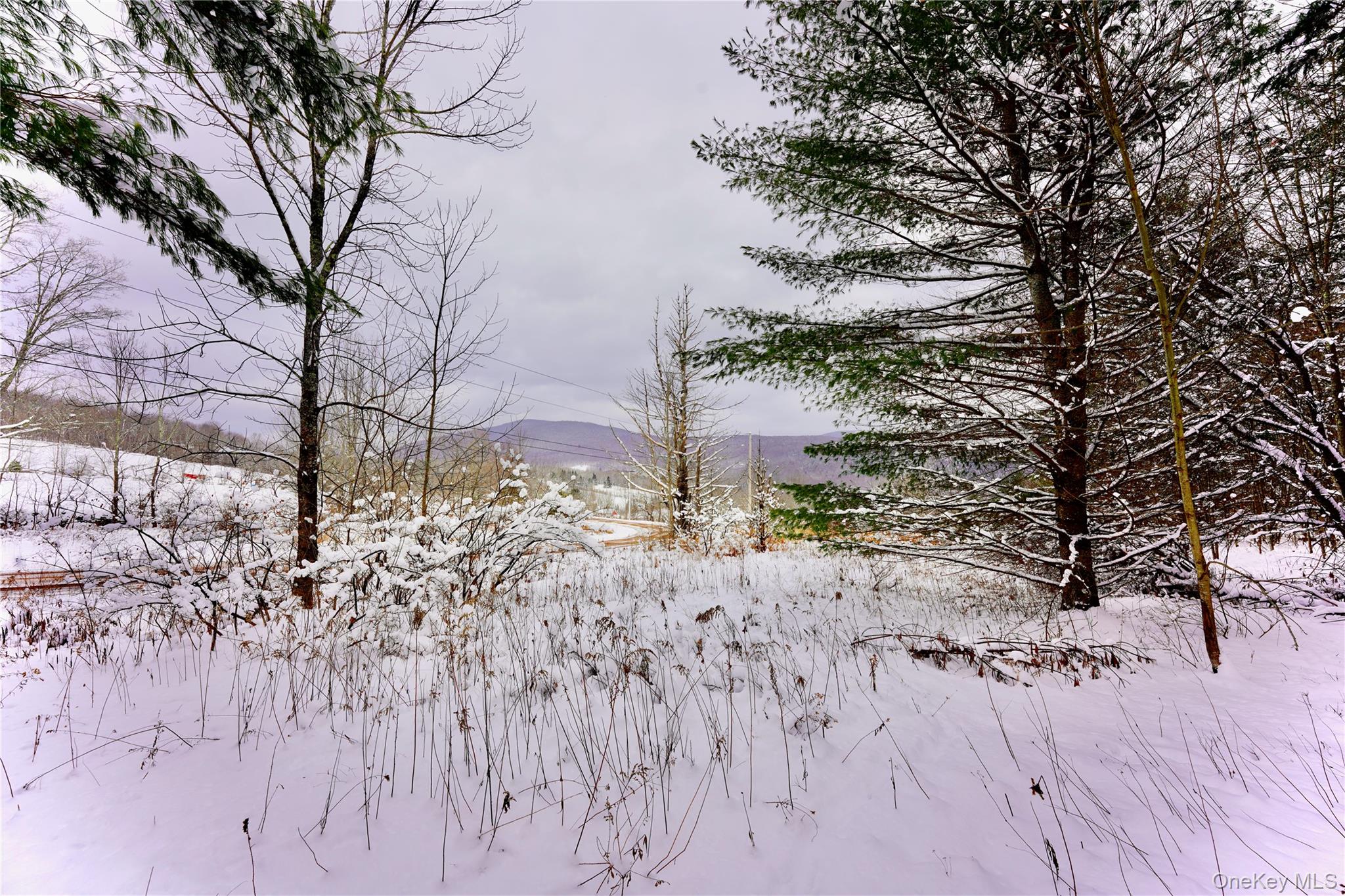 #4 photo, Quail Ridge Road, Margaretville , NY 12455