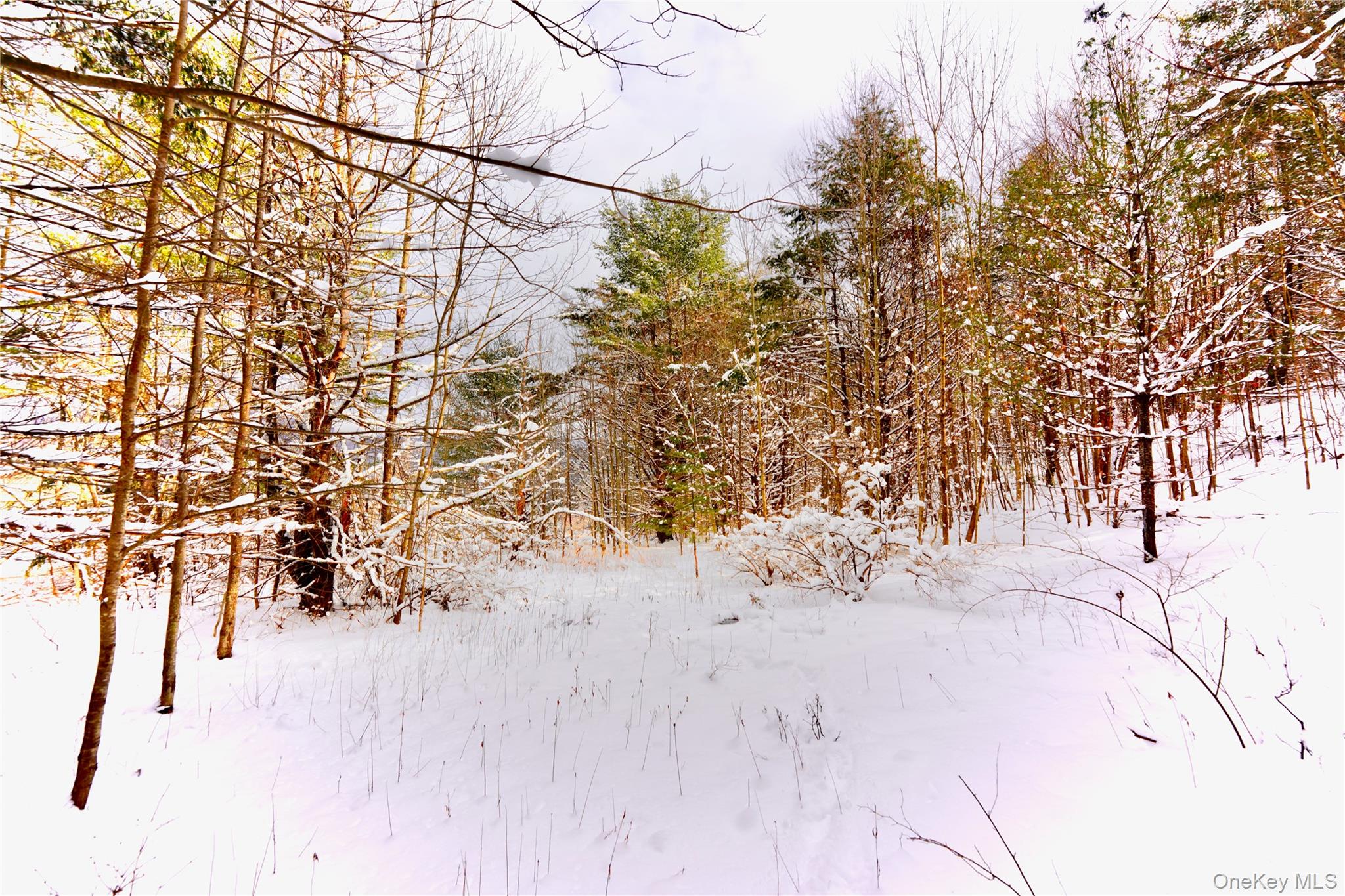 #6 photo, Quail Ridge Road, Margaretville , NY 12455