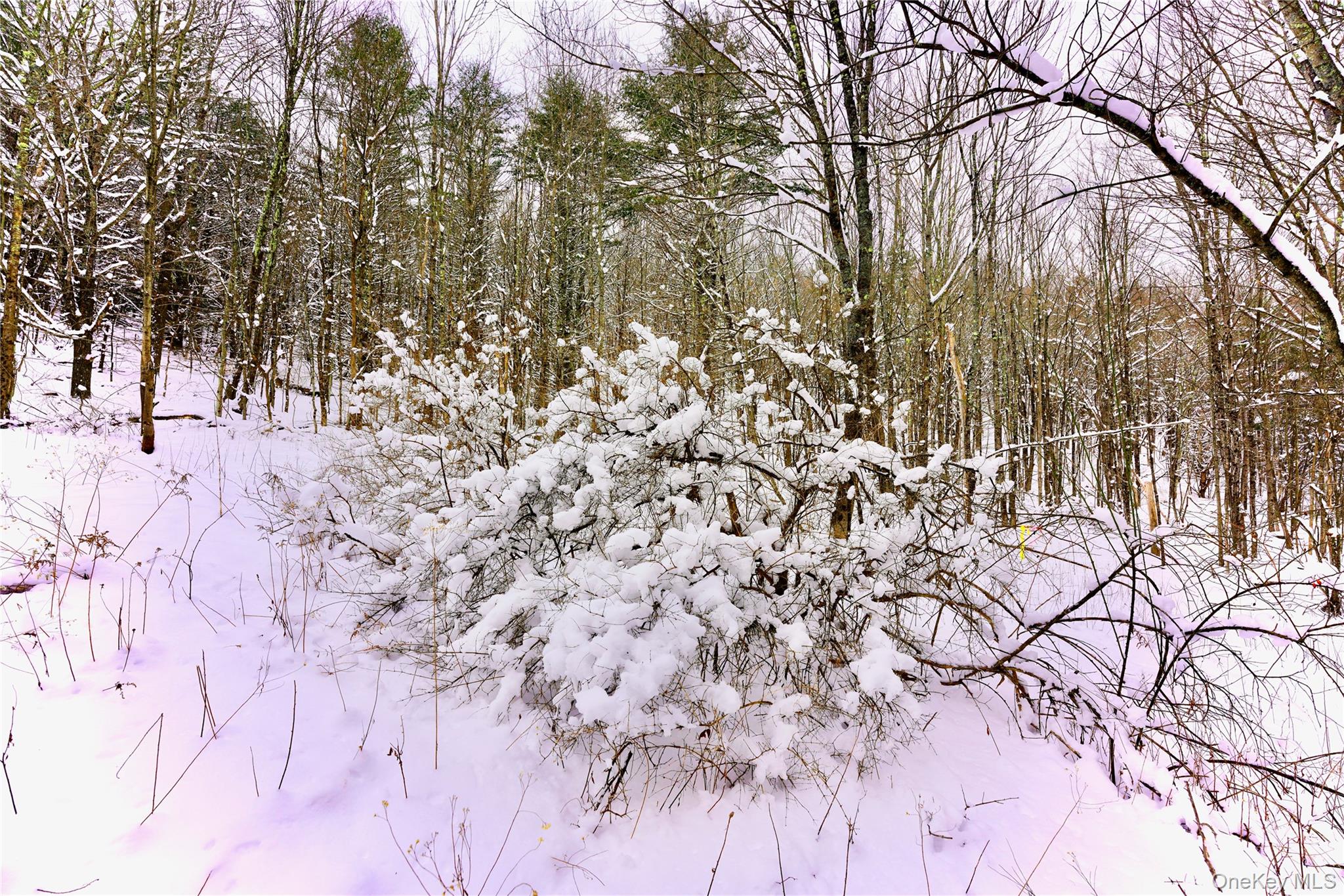 #8 photo, Quail Ridge Road, Margaretville , NY 12455