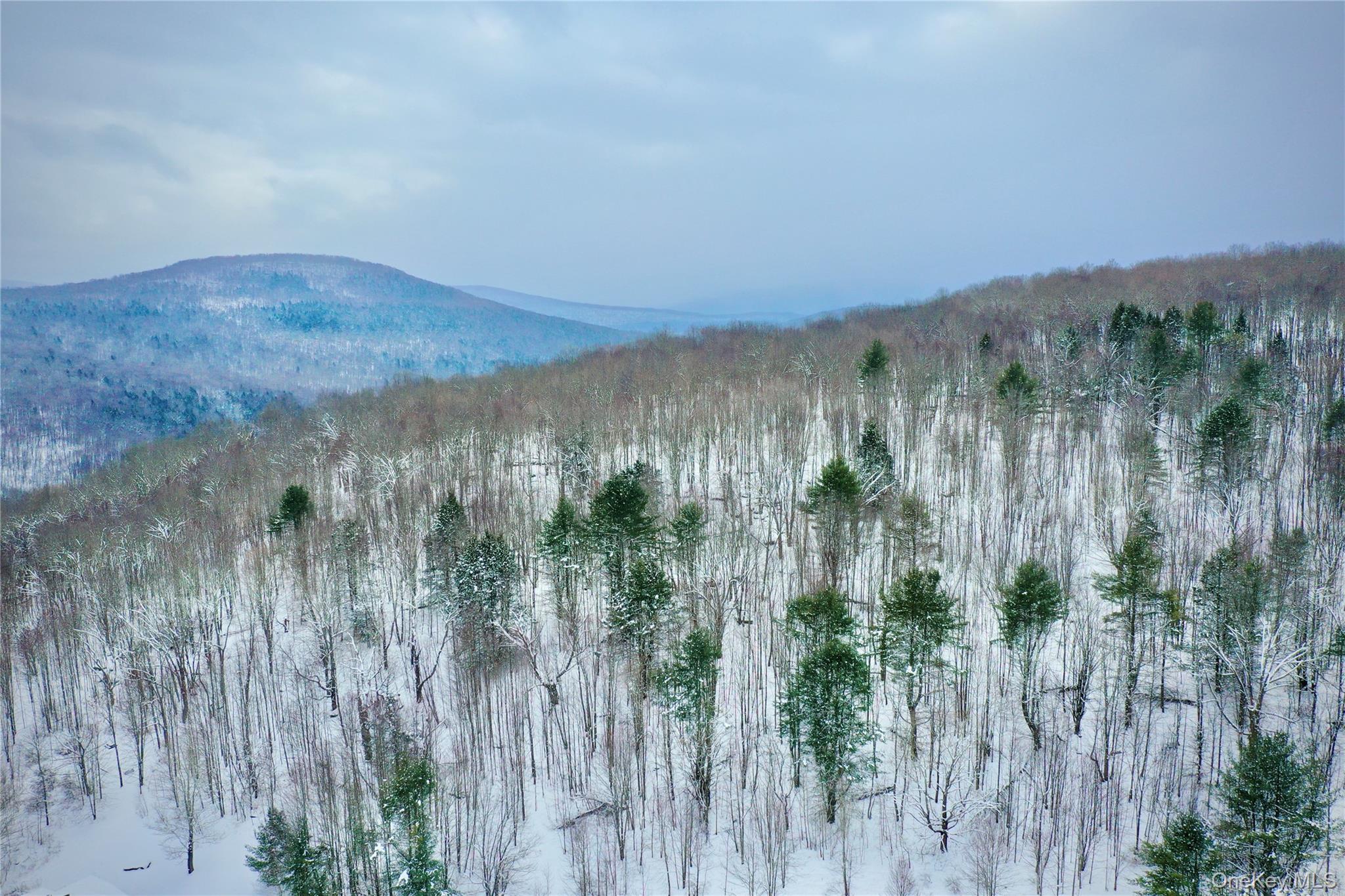 #9 photo, Quail Ridge Road, Margaretville , NY 12455