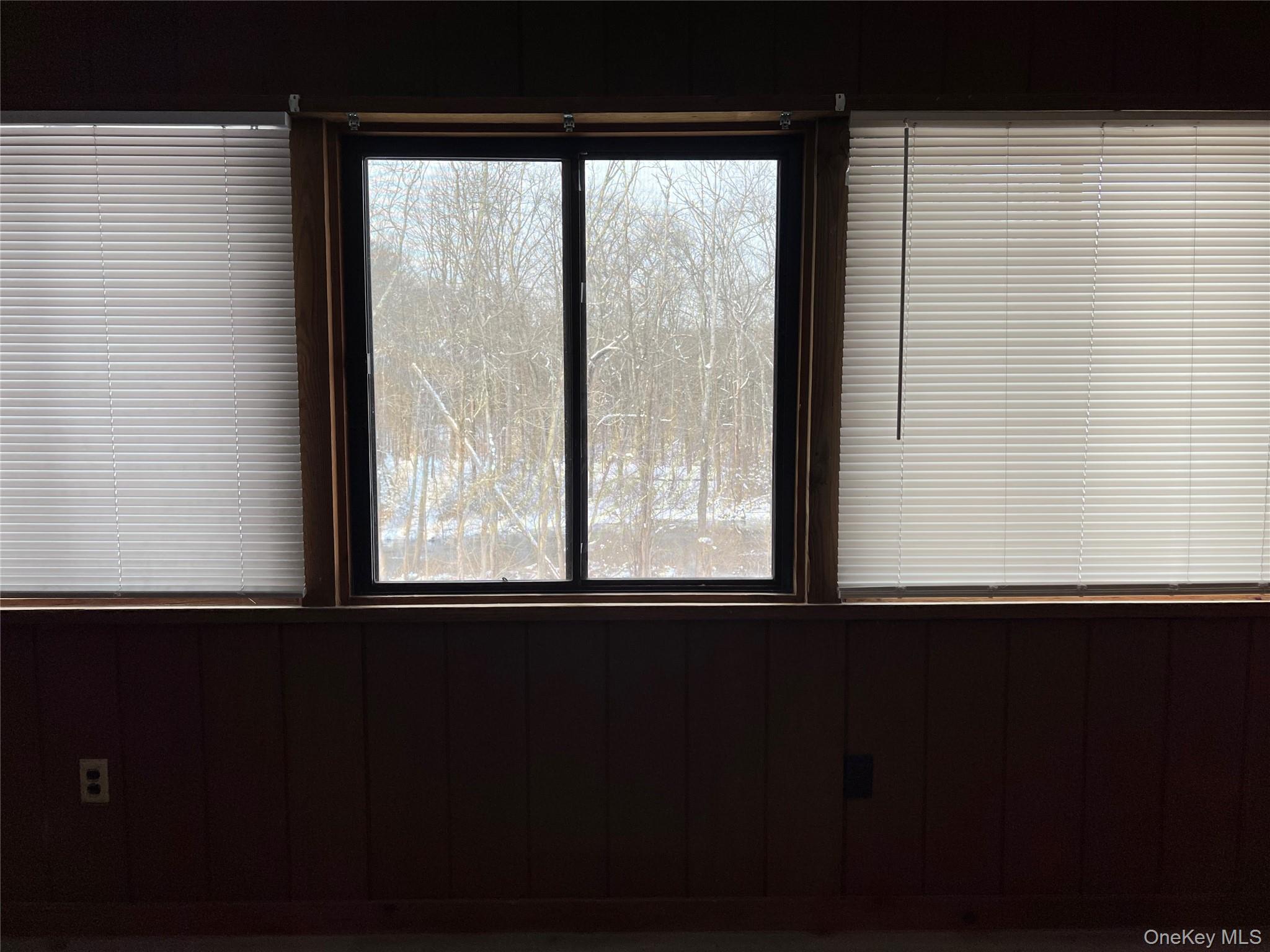 #4 photo, Hyde Park, 뉴욕주 Hyde Park , NY 12538