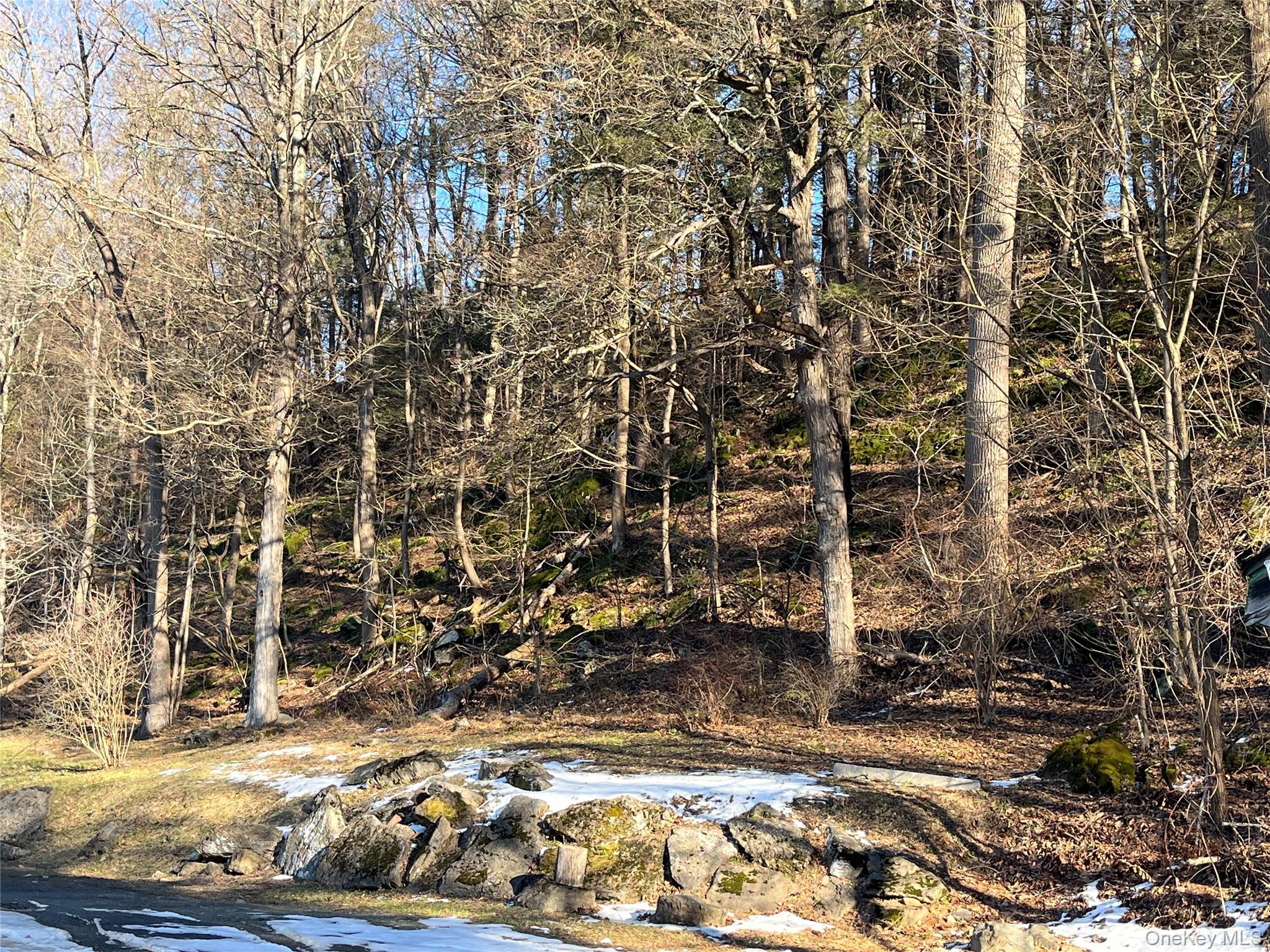 #12 photo, 2694 Route 9W, 纽约州 Saugerties , NY 12477