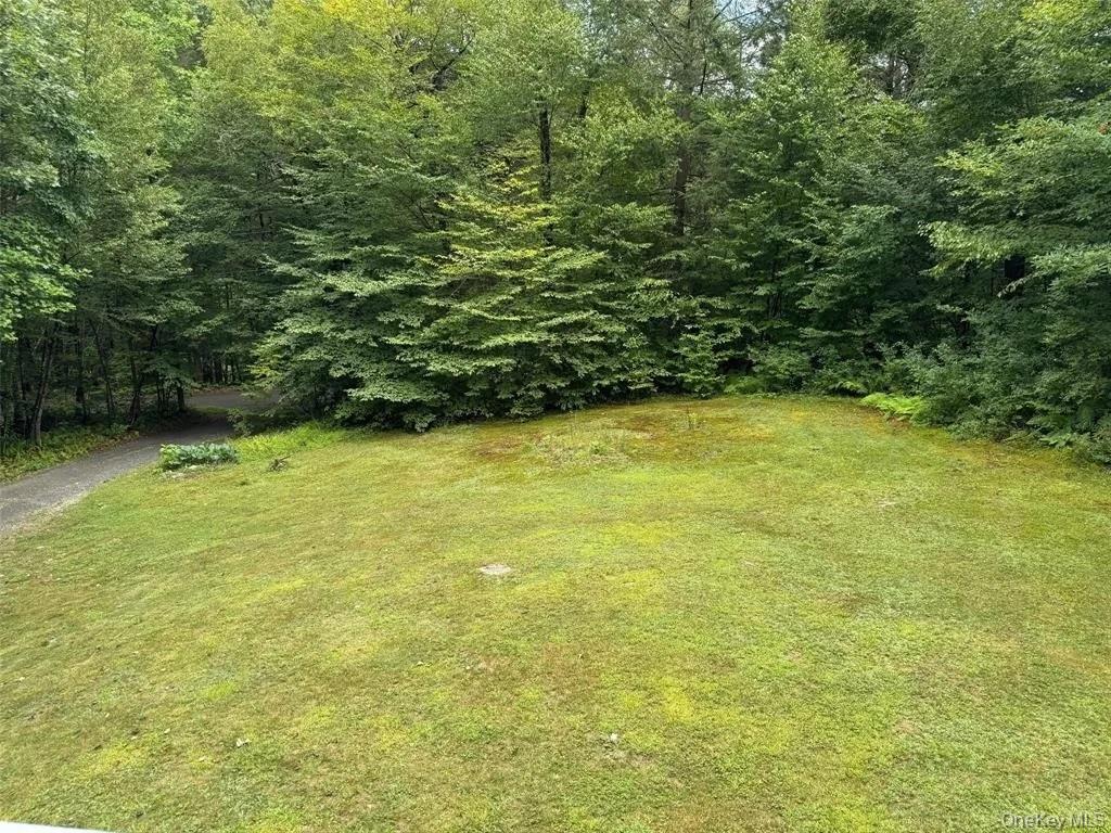 #2 photo, 2553 Bouchouxville Road, Hancock , NY 13783