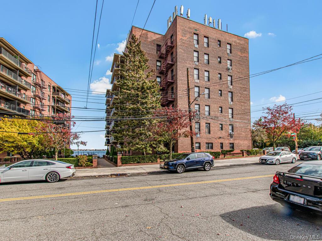 #17 photo, 1110 Stadium Avenue, برونكس Bronx , NY 10465