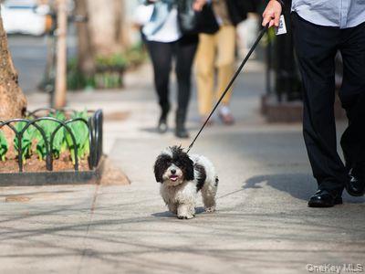 #11 photo, 74 Prospect Street, Саффолк ‖ Huntington , NY 11743