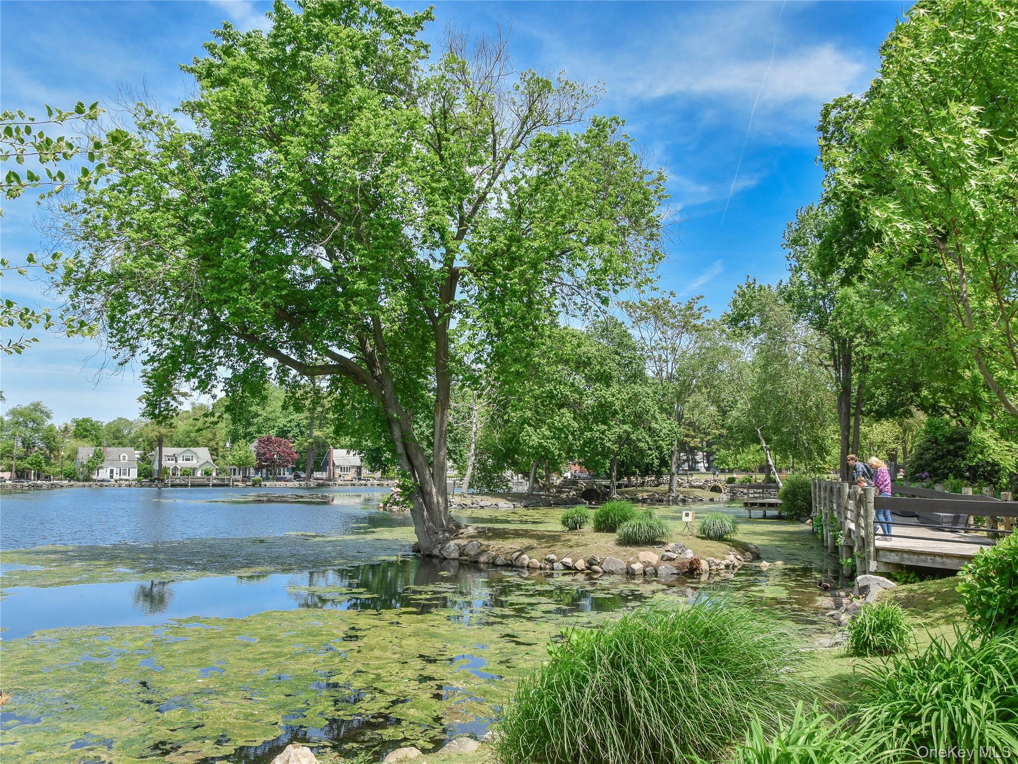 #13 photo, 74 Prospect Street, Саффолк ‖ Huntington , NY 11743