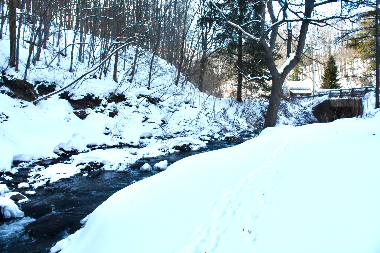 #12 photo, 2172 State Route 80, Jordenville , NY 13361