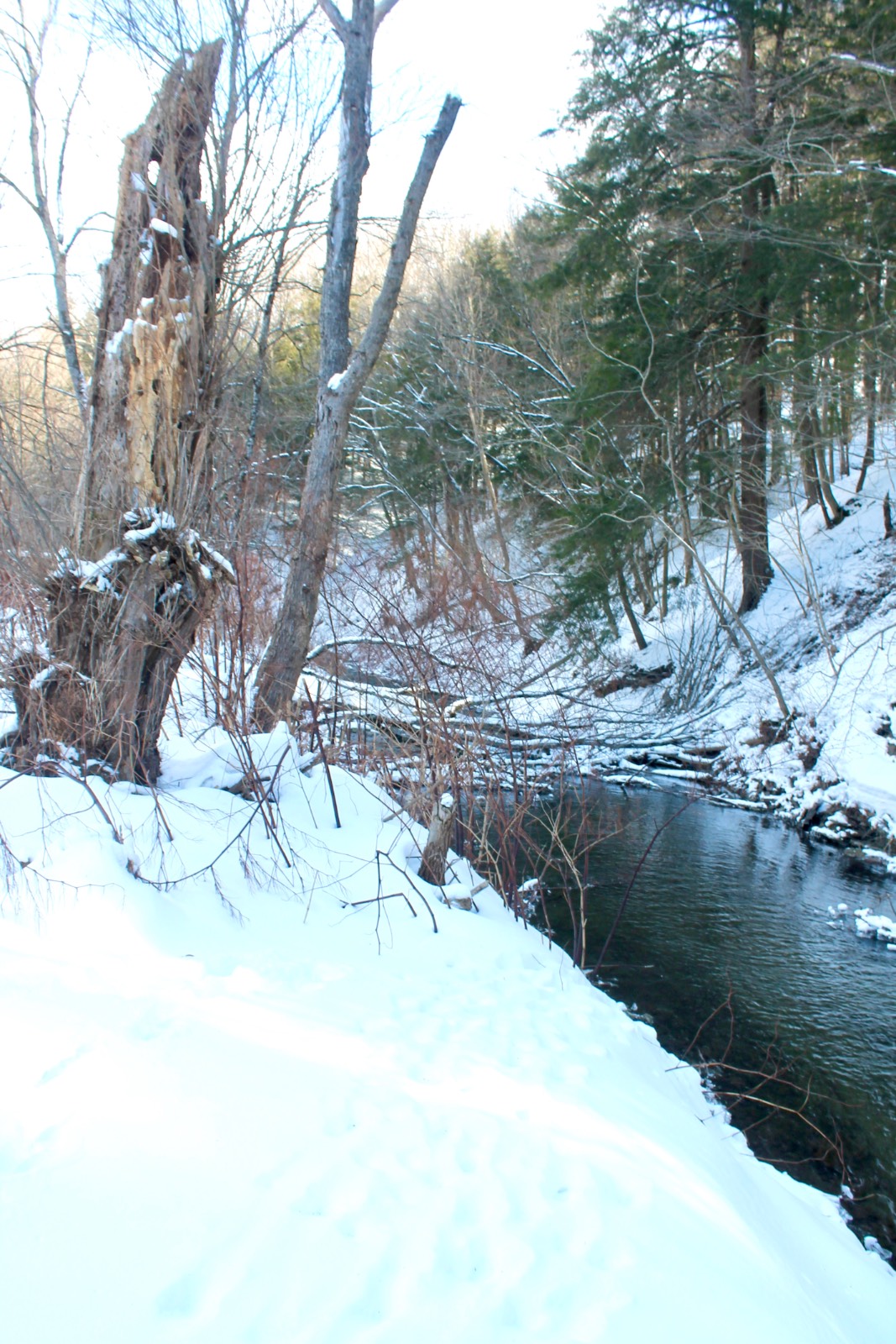 #15 photo, 2172 State Route 80, Jordenville , NY 13361